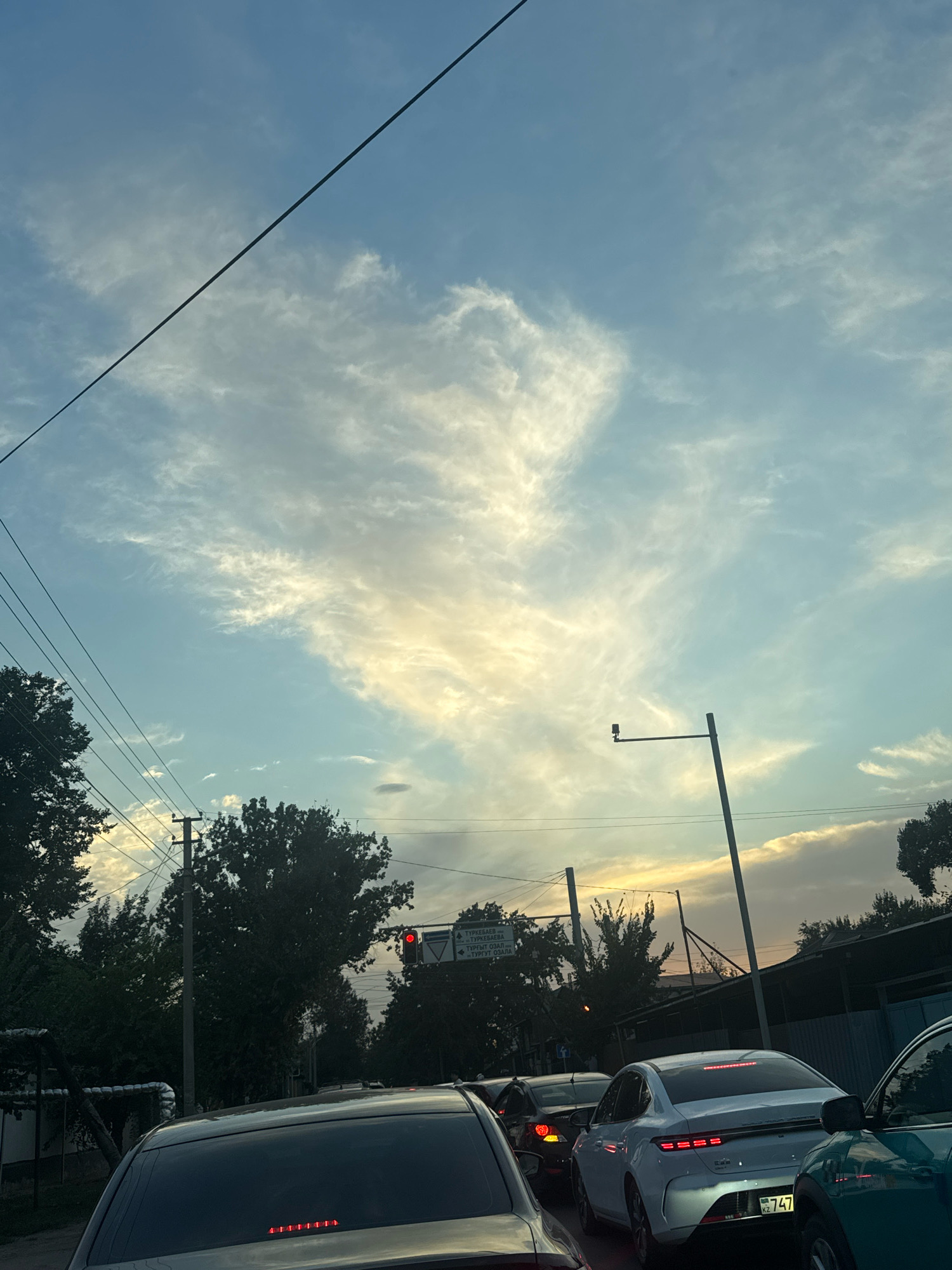 The image captures a traffic scene in Almaty, Kazakhstan, during what appears to be a late afternoon or early evening. The sky is a prominent feature, with a mix of blue hues and wispy, illuminated clouds, suggesting the sun is low on the horizon and casting a warm glow. Power lines crisscross the upper portion of the frame, typical of urban environments.
Below the sky, the scene is dominated by trees and traffic. Dense green foliage from various trees lines the sides of the road. Several cars are visible, indicating a traffic jam or slow-moving traffic. The vehicles include a dark-colored car in the foreground with its brake lights illuminated, a white car with distinctive taillight design, and other vehicles further back. A traffic light displaying a red signal is visible, contributing to the traffic congestion.
Street signs are present, with one sign showing text in what appears to be Cyrillic script, confirming the location in Kazakhstan. Roadside infrastructure, such as utility poles and streetlights, are also part of the urban landscape. The overall impression is a common urban scene with a dramatic sky overhead.