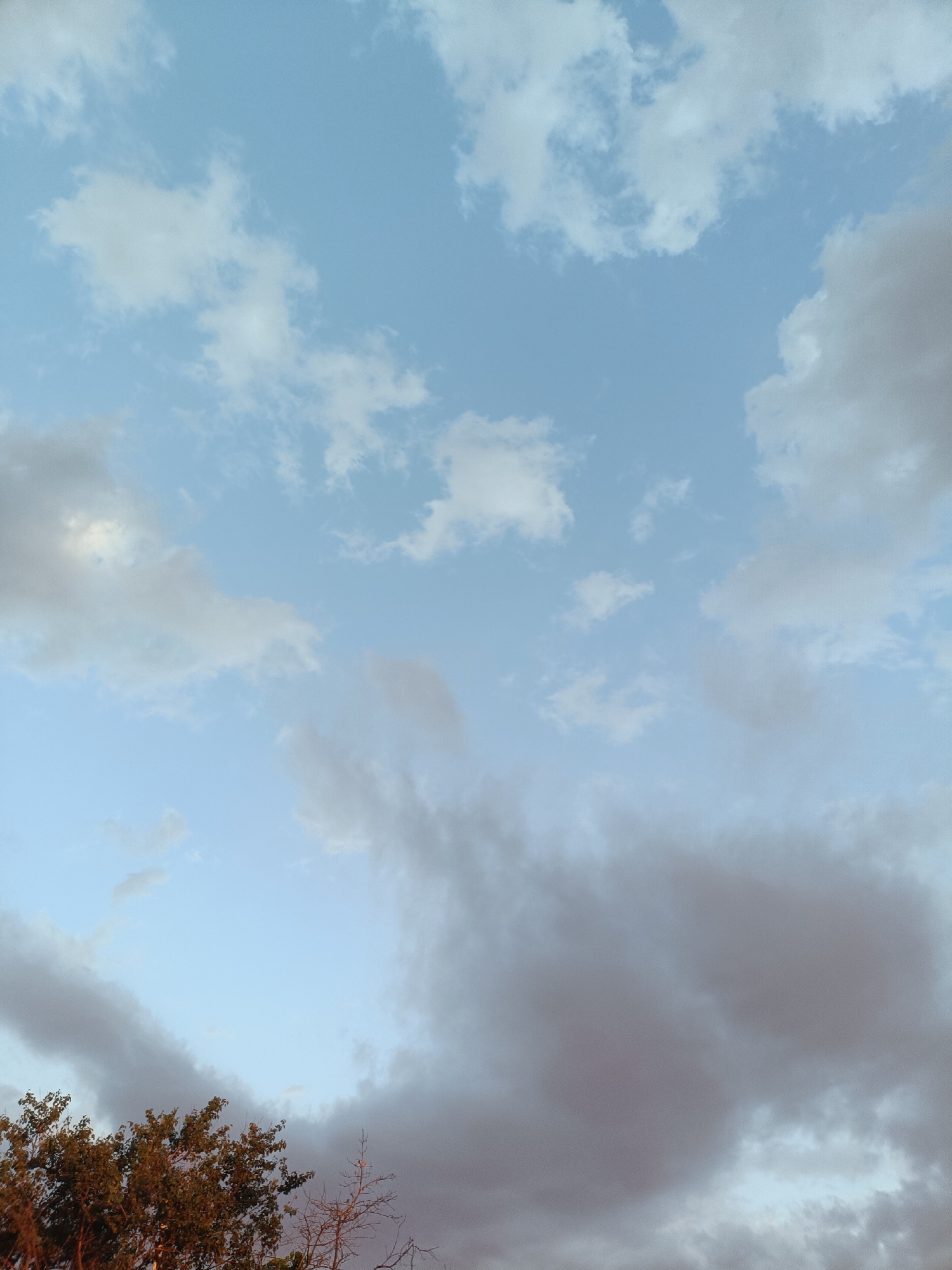 This is a full-frame, vertical shot of the sky with some tree foliage at the bottom left. The sky is a pale blue with scattered clouds of varying shades of white and gray. The clouds are most dense in the lower right portion of the image, appearing darker and more turbulent. The foliage at the bottom left is a deep green and appears to be from a tree. There are no people or man-made objects visible in the image. The lighting suggests it may be late afternoon or early evening.