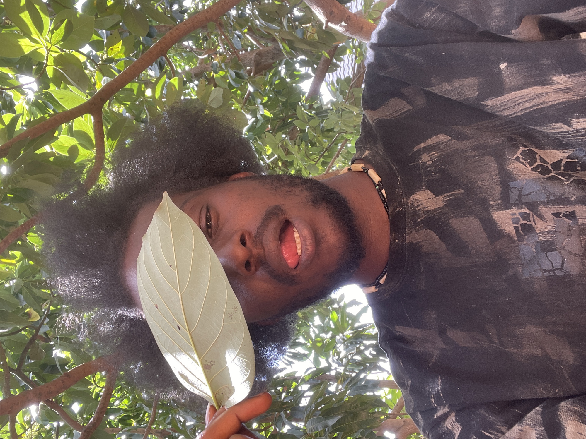 A person with dark skin, an afro hairstyle, and a beard is looking downwards. They are wearing a dark-colored t-shirt and a necklace. A large, light-colored leaf partially obscures their face. The background consists of green foliage and branches of a tree. Based on the information provided and the foliage, the location is possibly Jos, Nigeria.