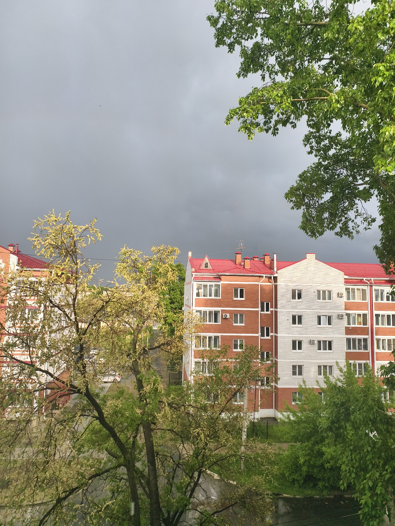 This media file presents an elevated view of a residential area in Belogorsk, Russia, under a heavily overcast and dark grey sky. The scene is dominated by several multi-story apartment buildings featuring red tile roofs and facades composed of red and white bricks. Numerous rectangular windows are visible across the building exteriors, along with multiple air conditioning units. One building displays a television antenna on its roof.
Lush green trees are prominent in the foreground and midground, with some displaying vibrant, light yellow-green foliage, possibly indicating spring growth or flowering. These trees partially obscure the lower sections of the buildings and what appears to be a wet street or pathway, suggesting recent rainfall. Another tree with darker green leaves occupies the upper right corner of the frame.
There is no visible human activity or specific event taking place. The dark, cloudy sky creates an atmosphere of an impending storm or a very overcast day. No discernible text is visible within the image. The overall impression is one of an urban landscape characterized by its residential architecture and vibrant spring foliage contrasting with the somber sky.
