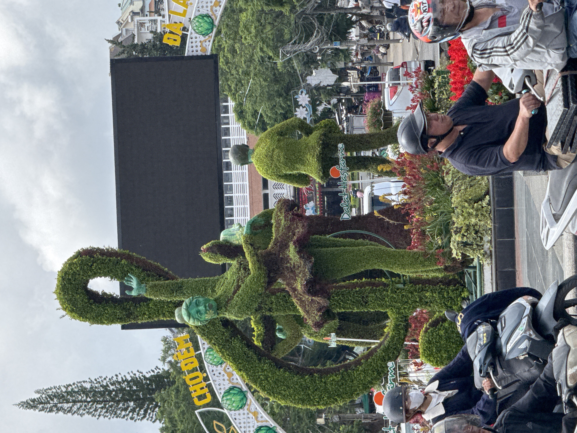 The image captures a vibrant street scene in Da Lat, Vietnam, dominated by a large, elaborate topiary sculpture. The sculpture depicts figures resembling ballerinas, intricately sculpted from green foliage and accented with darker foliage forming their tutus and hair. One figure is in the foreground, reaching upwards with an outstretched arm, while another stands in profile with their back to the viewer. Behind the topiary, a large black screen is mounted on an archway, with yellow lettering visible on either side of the arch. The arch is decorated with green artichoke-like ornaments.
In the foreground, several people are riding motorbikes. One person on a motorbike in the left of the frame wears a white mask and a dark jacket. Another person on a motorbike in the center foreground wears a black polo shirt and a helmet. To the right, a person in a grey jacket with black stripes on the sleeves, also wearing a helmet, is visible. The background shows a street with more motorbikes, cars, and buildings, characteristic of an urban setting. Red and yellow flowers are planted around the base of the topiary, adding to the colorful display. The sky is overcast. The yellow lettering on the archway appears to read "CHỢ ĐÊM" (Night Market) and "ĐÀ LẠT" (Da Lat).