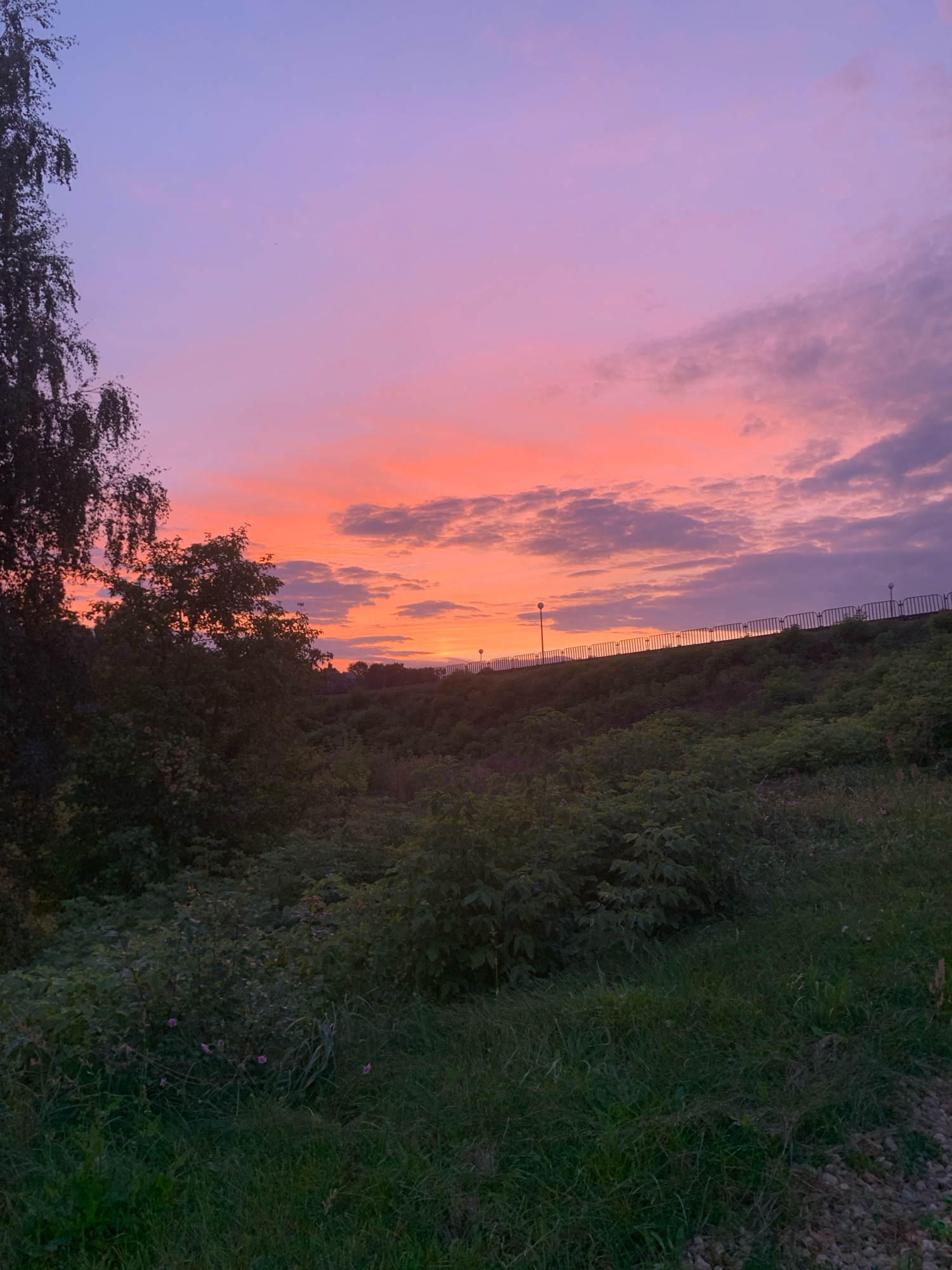 The image depicts a sunset over a green landscape. The sky transitions from a light purple at the top to vibrant pinks and oranges near the horizon. Clouds are scattered across the sky. In the foreground, there is dense green vegetation, including trees and bushes, with some areas of grass. A raised embankment is visible in the middle ground, topped with a black metal fence and several lampposts. The fence runs along the edge of the embankment, which appears to be a walking path or road. The overall impression is of a natural or park-like setting within or on the outskirts of an urban area, possibly in Kapyĺ, Belarus, given the context. No people are visible in the image.