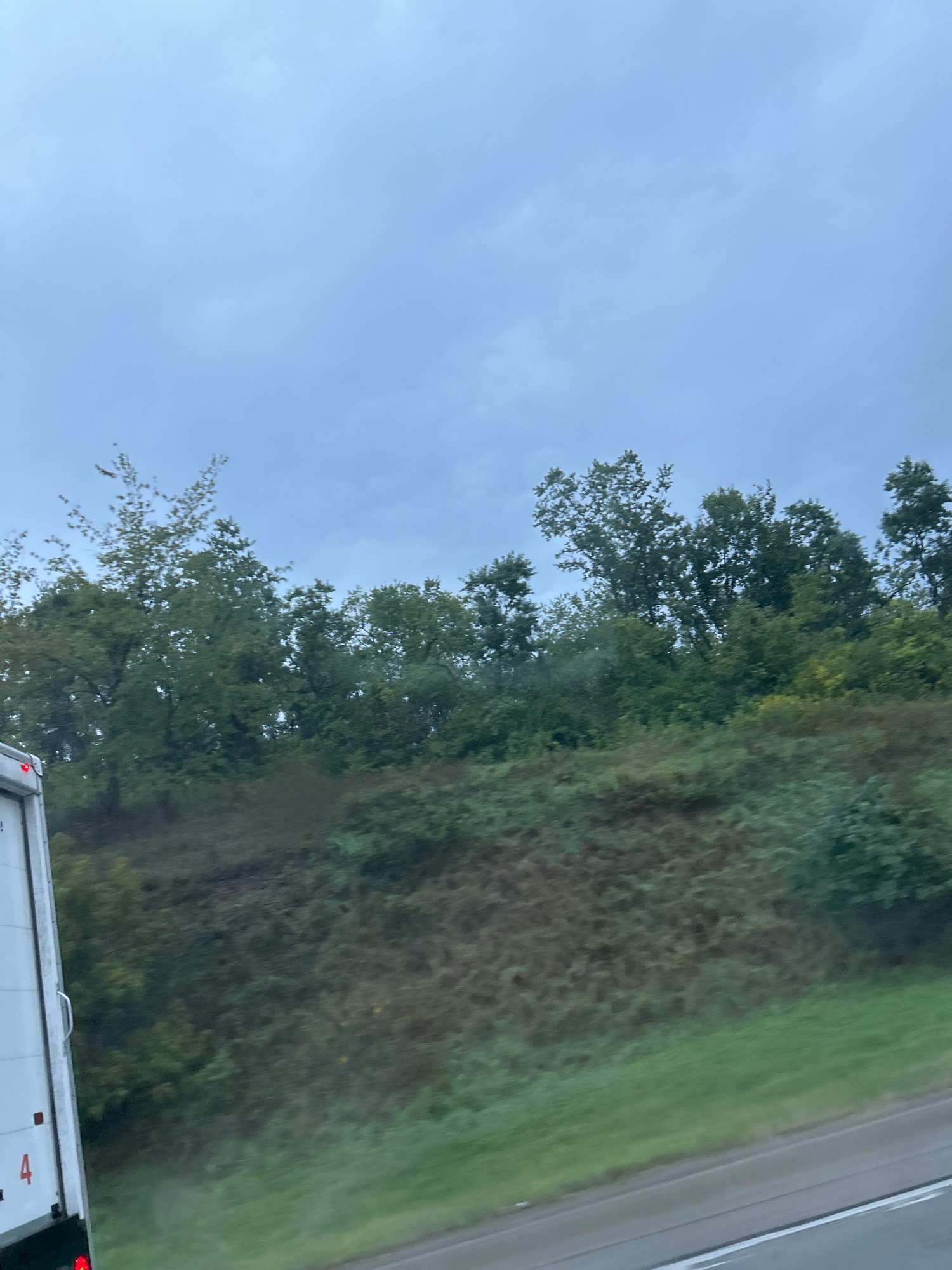 An overcast sky looms above a hillside covered in lush green trees and vegetation. The hillside slopes downward towards a road. In the lower left portion of the image, the side of a white truck is visible, with a red taillight and the number "4" marked on its exterior. The scene appears to be captured from a moving vehicle, possibly on a highway or main road in Robinson Township, USA. The overall atmosphere is muted and tranquil, suggesting a cloudy or perhaps rainy day.