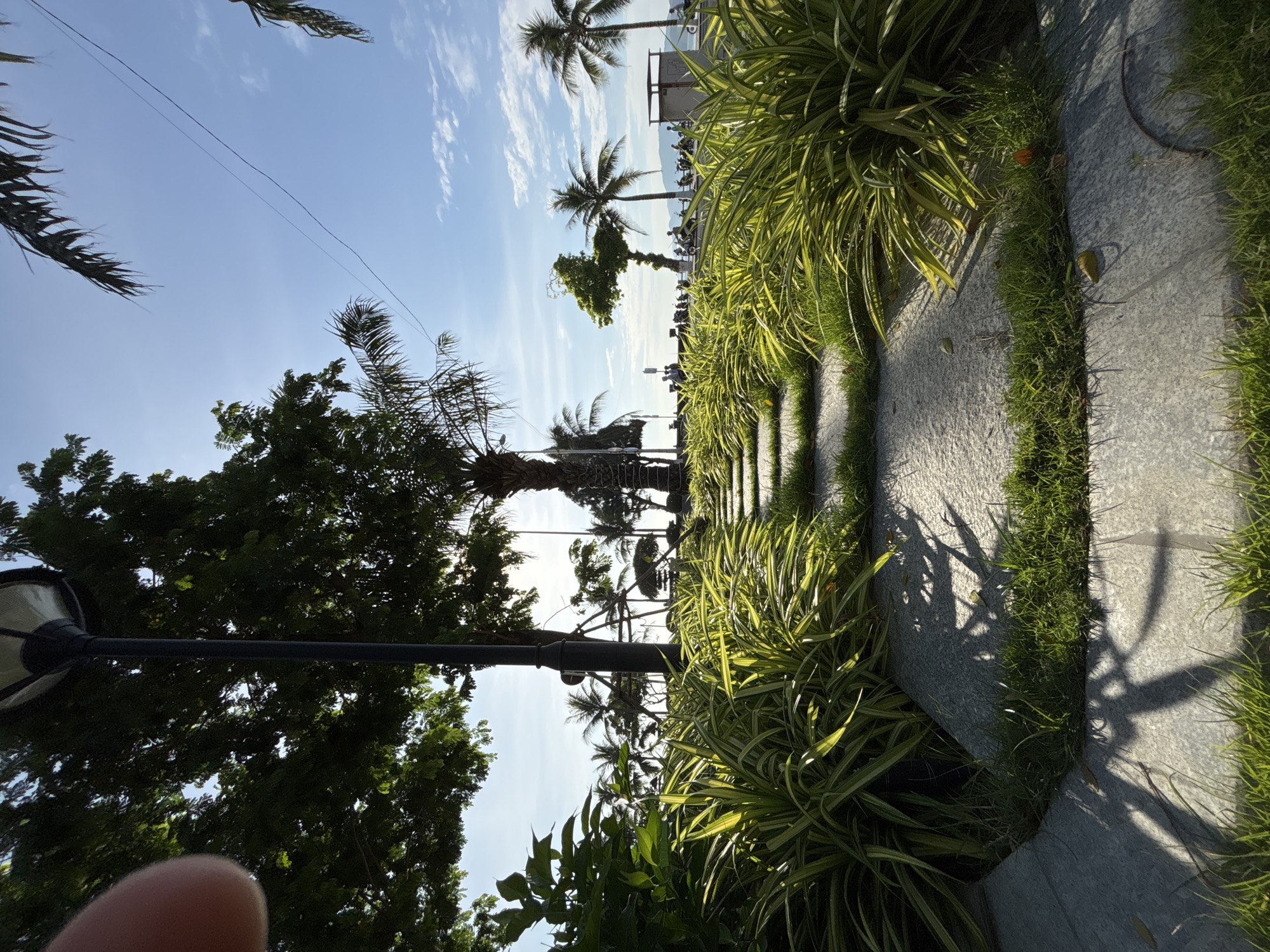 The image depicts a paved pathway interspersed with grass and foliage, leading towards a coastline. In the foreground, lush green and yellow variegated plants flank the path. A tall lamppost stands to the left, partially obscured by tree branches. Beyond the immediate landscaping, a clear blue sky is visible with a few wispy clouds. Palm trees and other vegetation dot the landscape. In the middle ground, a street with parked motorcycles and a few people walking or standing can be observed. The background reveals a body of water, likely the sea, with a distant coastline or mountainous terrain. The presence of palm trees and the overall tropical aesthetic suggest a location in a coastal city. Given the description and visual cues, this scene is likely situated along the beachfront promenade of Nha Trang, Vietnam, an area known for its scenic coastal views and abundant palm trees.