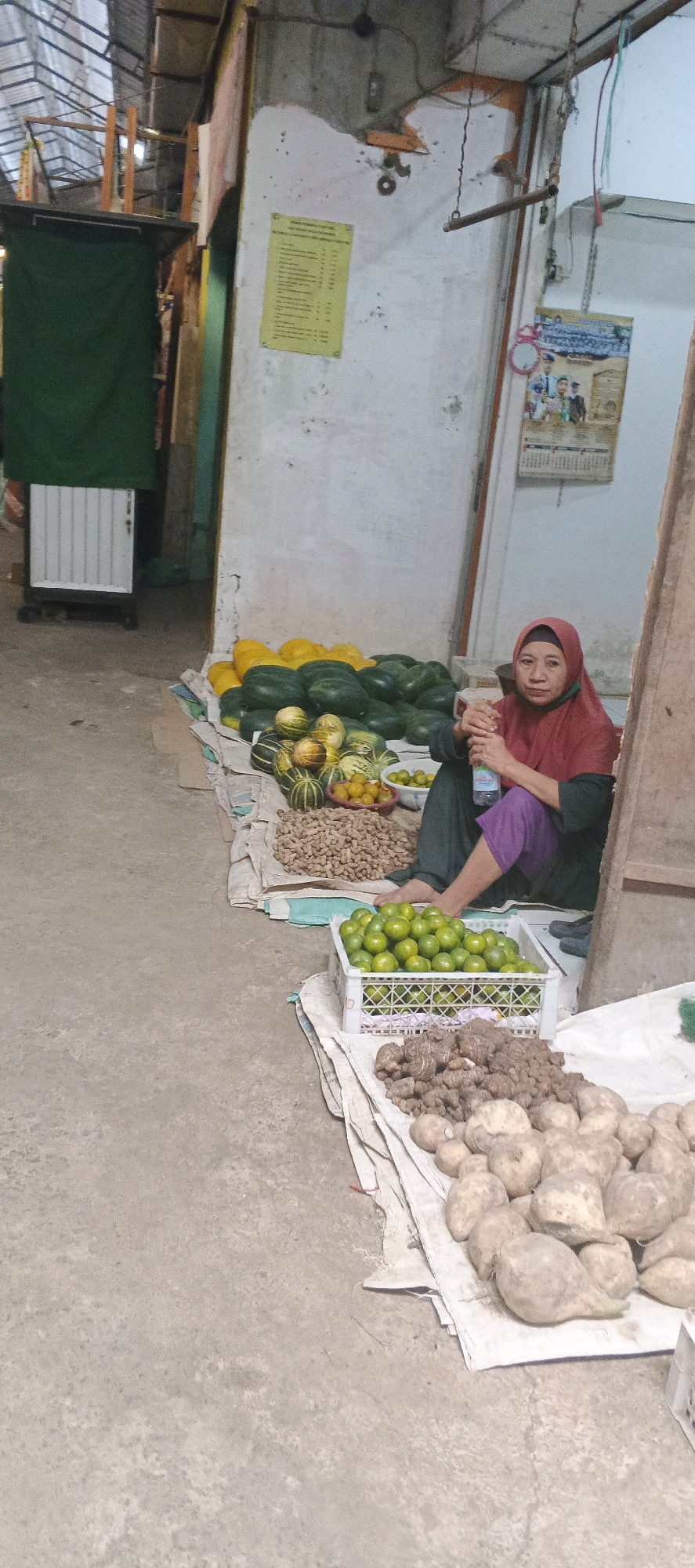 In Sekaran, Indonesia, a woman wearing a red hijab and purple pants sits on the ground amidst a variety of produce. She holds a plastic bottle of water in her right hand. In front of her, arranged on the ground and in white crates, are piles of green limes, ginger root, and what appear to be potatoes. Behind her, a large display of watermelons, both green and yellow, is visible. To the left, a green curtain hangs over a white structure. The scene takes place in an open market area with a concrete floor and a metal-roofed ceiling. A yellow notice is posted on a textured wall in the background, along with a calendar with images of people.