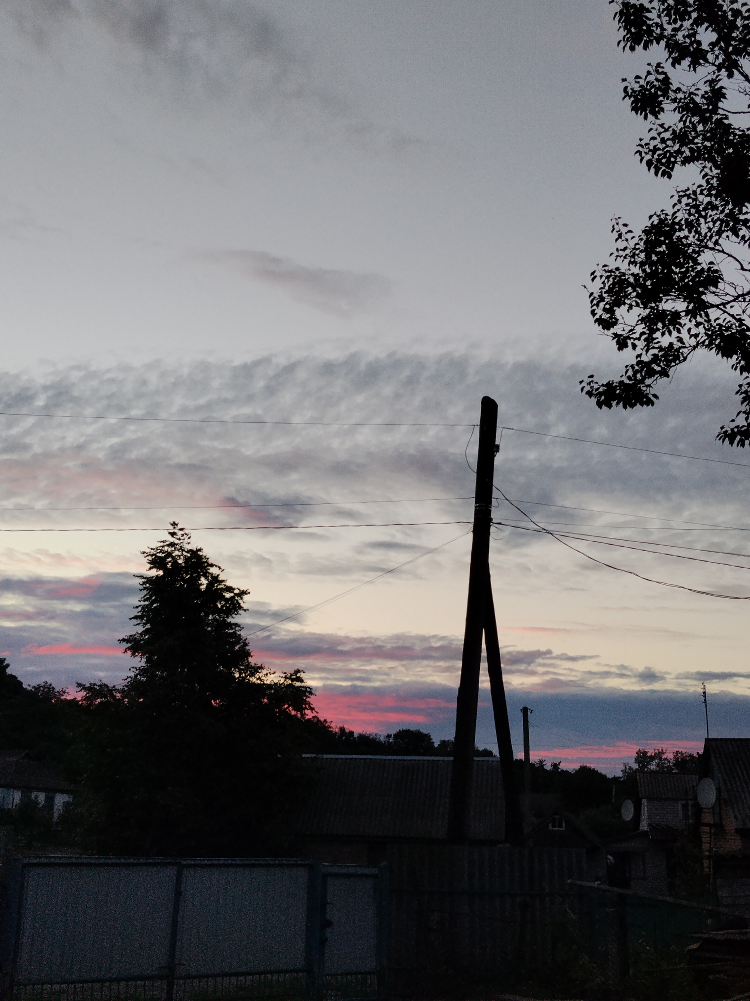The image depicts a rural landscape in Ustyvytsia, Ukraine, during twilight. The sky is filled with a gradient of colors, transitioning from a pale gray at the top to hues of pink and blue closer to the horizon, indicative of a sunset or sunrise. Wispy clouds are scattered across the sky, with some appearing darker gray and others catching the light with pinkish tones.
Dominating the foreground is a large, dark silhouette of a conifer tree, its branches reaching upwards. To the right of the tree, a tall, dark wooden utility pole stands prominently, with multiple thin wires strung between it and other unseen points. These wires crisscross the frame horizontally.
In the middle ground, several structures of houses are visible, mostly in silhouette against the sky. They have dark, angular roofs, suggesting a traditional rural architecture. A dark metal fence runs across the bottom of the image, with a gate-like section on the left. The overall impression is of a quiet, rural scene as day transitions into night. There are no people or animals visible in the frame.