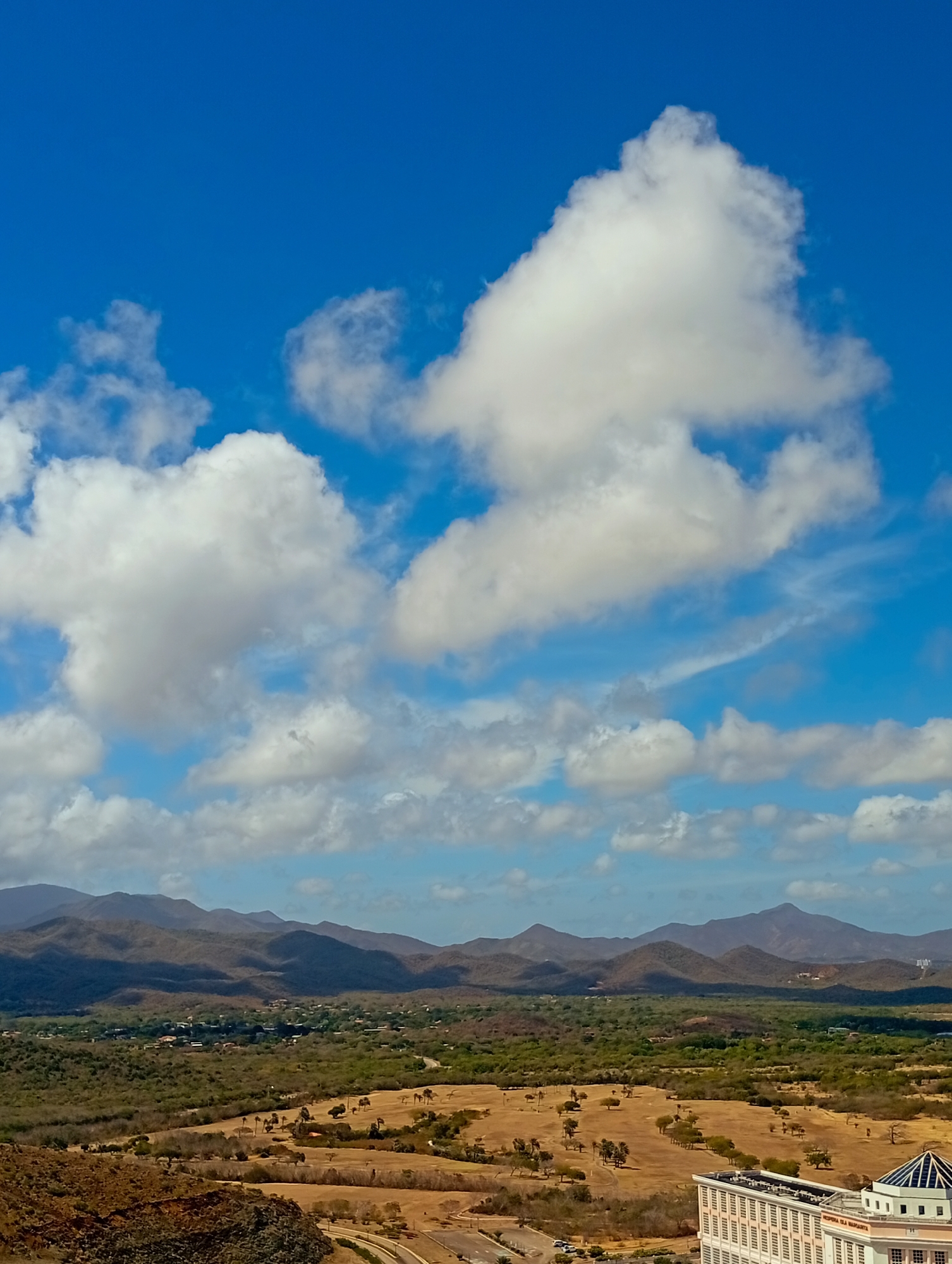 The image displays an elevated panoramic view of the landscape near Juan Griego, Isla Margarita, Venezuela. The upper portion features a bright blue sky with numerous white cumulus clouds of varying sizes and some faint cirrus clouds. A continuous range of undulating hills and mountains, covered in predominantly dry, brownish-green vegetation, forms the mid-ground horizon. Below the mountains, the terrain transitions to a flatter area characterized by large patches of dry, light-brown grass, interspersed with greener shrubs and scattered individual trees. A paved, multi-lane road with visible lane markings curves through the lower mid-ground. In the lower right quadrant, a multi-story building with a light-colored (beige/pinkish) facade, numerous rectangular windows, and a dark, segmented dome structure on its roof is partially visible. The text "ESPORA ISLA MARGARITA" is legible on the building's exterior. Several vehicles are parked in an adjacent lot. A dark, rocky outcrop occupies the lower left foreground. No human figures or specific actions are discernible.