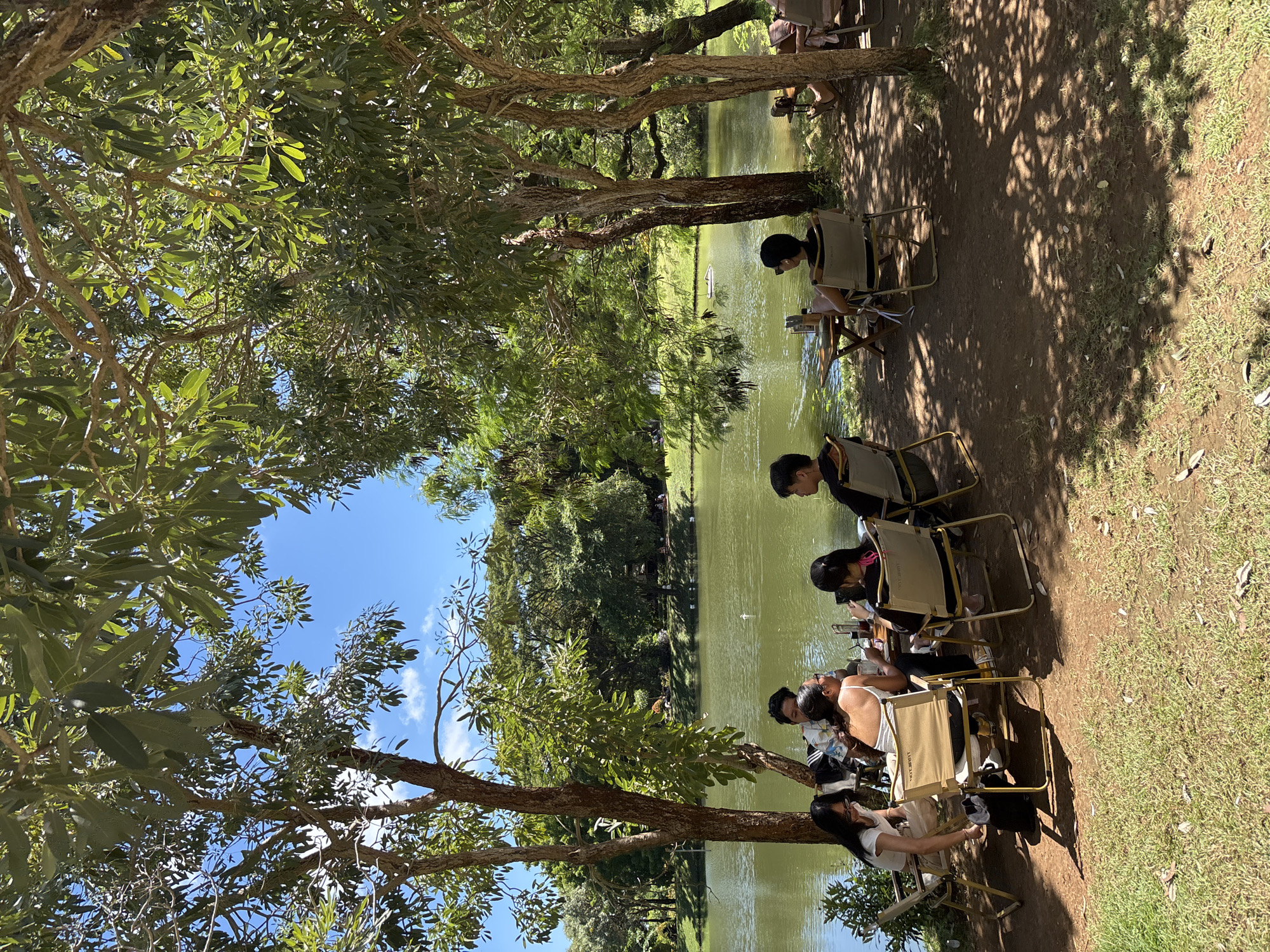 This image presents a serene outdoor scene, likely in Kuta Selatan, Indonesia, featuring a group of people enjoying leisure time by a calm body of water. The setting is dominated by large, mature trees with robust trunks and abundant green foliage, which form a natural canopy overhead. Through the leaves, patches of clear blue sky with a few wispy white clouds are visible, indicating a bright, sunny day.
Approximately eight to ten individuals, appearing to be adults or young adults, are gathered along a dirt path bordering the water. They are seated on foldable, beige camping chairs with metal frames, suggesting a casual, relaxed atmosphere. Small, portable tables are positioned in front of some individuals, holding drinks, smartphones, and other small belongings. The brand name "JUNELLA" is visible on the backrests of several chairs.
The people are casually dressed and engaged in various quiet activities. Some are focused on their phones, while others seem to be conversing or simply taking in the peaceful surroundings. Their relaxed postures convey a sense of comfort and enjoyment of the natural environment, suggesting a casual social gathering or individual downtime.
The tranquil body of water, possibly a lake or large pond, has a greenish-brown hue and reflects the overhead trees and sky. On the distant side of the water, a small white boat or kayak is visible, nestled among dense green vegetation lining the bank. The strong sunlight casts prominent, dappled shadows from the trees onto the ground where the people are seated, enhancing the natural, outdoor ambiance. The scene evokes a feeling of peaceful retreat and connection with nature.