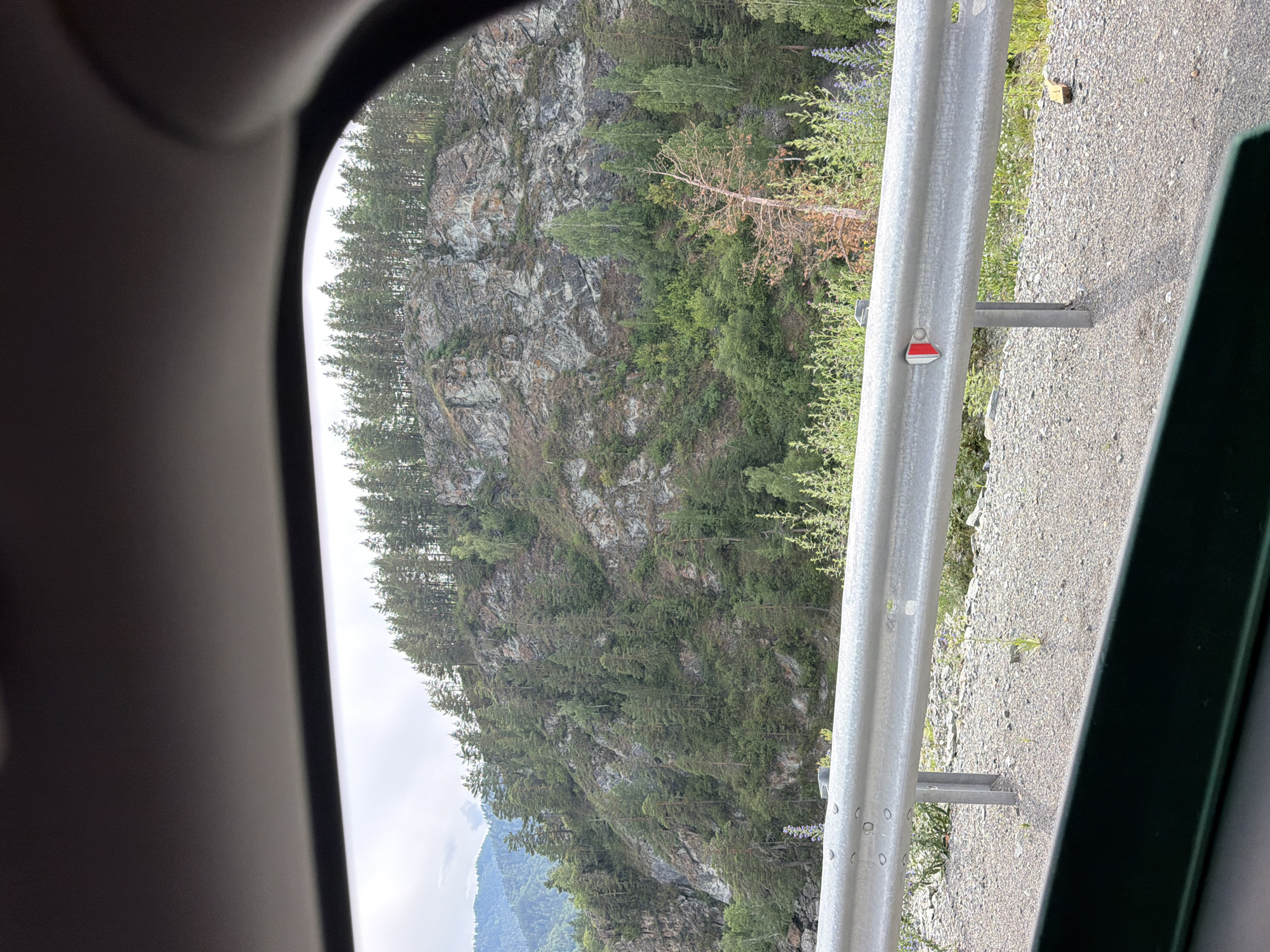 The image is a vertical shot, taken from inside a vehicle, looking out at a mountainous landscape. The primary subjects are a steep, rocky cliff face covered in dense green coniferous trees, and a grey metal guardrail running along the edge of a gravel road. The cliff is rugged, with visible strata and patches of vegetation growing from its crevices. The trees are a mix of tall pines and smaller, sparser growth, creating a textured green surface against the grey rock.
To the right of the cliff, the guardrail is prominent, a standard roadside safety feature. It is supported by metal posts anchored into the ground. On one of the guardrail posts, a small, reflective marker with red and white stripes is attached, likely indicating a hazard or boundary. The road surface is composed of gravel and small stones. Beyond the road, more vegetation, including some lighter green shrubs and possibly wildflowers (a hint of purple can be seen), grows. In the distance, hazy blue mountains are visible beneath a cloudy sky.
The lighting suggests it is daytime, with diffused light indicating possibly overcast or early morning/late afternoon conditions. The scene evokes a sense of travel through a natural, rugged environment. The angle of the shot, looking out from a vehicle, implies the activity of driving or being a passenger on a road trip. The overall mood is one of natural beauty and remote wilderness. There is no visible text in the image. The location context of Katun, Russia, aligns with the mountainous, forested, and potentially remote feel of the scene.