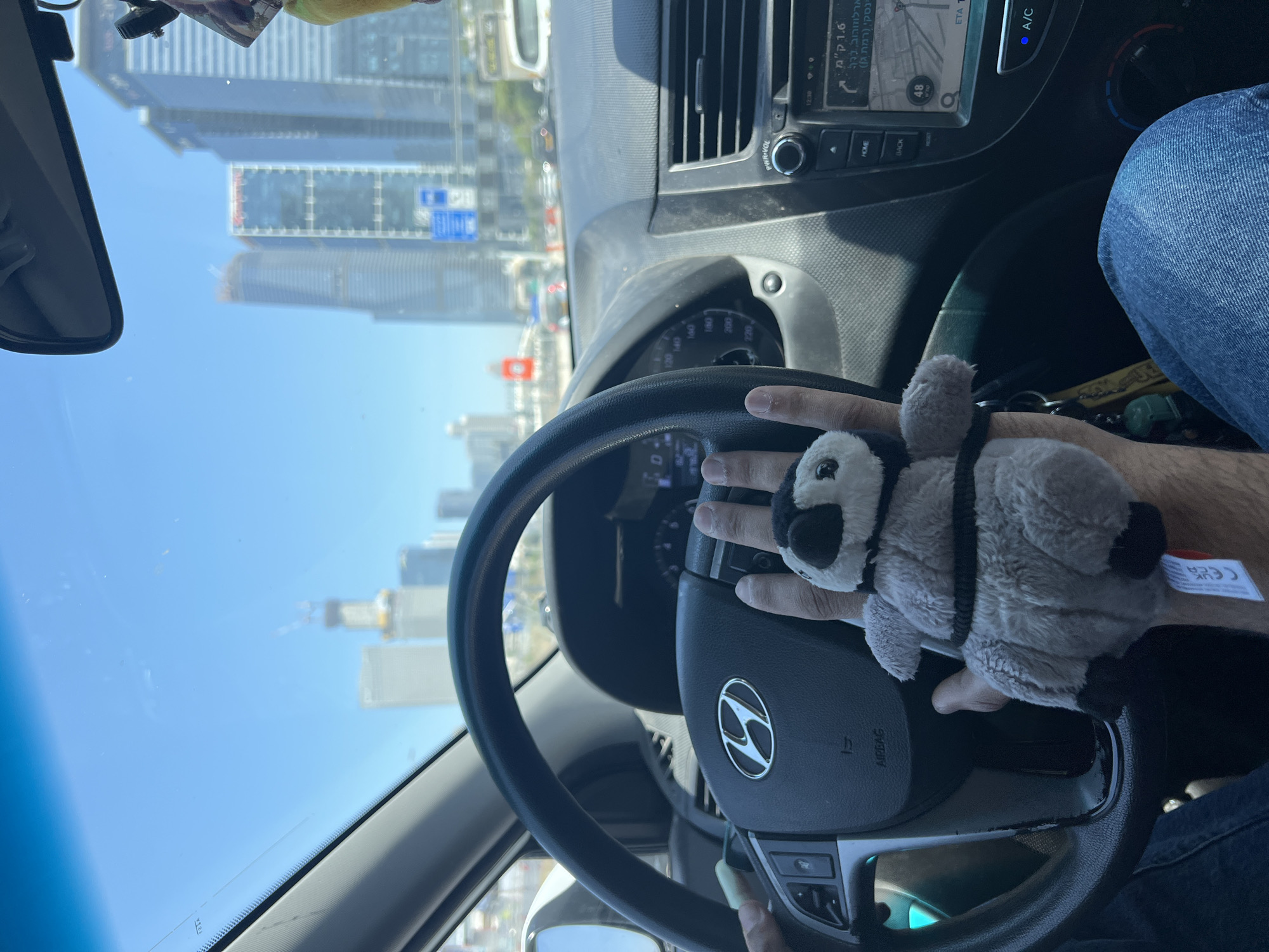 The image captures a driver's perspective from inside a car on a bright, sunny day in Tel-Aviv, Israel. The scene is dominated by the car's interior and a view of a modern cityscape through the windshield.
The main subject is a person's hands holding the steering wheel, on which a grey and black plush toy is also resting. The driver is wearing blue jeans, visible on the right side of the frame. The car's interior features a black dashboard, a steering wheel with a Hyundai logo, and various controls. To the right of the steering wheel, an infotainment system displays a navigation map with Hebrew text, indicating "ארלוזורוב, ברך נסקי (רמת גן)" (Arlozorov, Ben Naski (Ramat Gan)) and "1.6 ק"מ" (1.6 km), confirming the Israeli location. The system also shows the time "12:30" and "ETA 1", with the A/C light illuminated. A speedometer with markings up to "220" is partially visible. Keys are hanging from the ignition or a nearby hook. The plush toy has a white label with "CE UK CA" visible.
Outside the car, through the windshield, several tall, modern buildings under a clear blue sky suggest an urban environment. The reflection of some elements is visible on the windshield. The overall activity is driving or being stopped in traffic within a city. The bright conditions suggest midday.