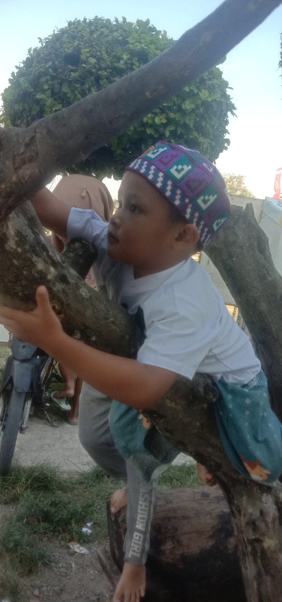 In the city of Cangkringrandu, Indonesia, a young child is climbing on a tree. The child is wearing a white t-shirt, a patterned blue and purple cap, and light blue pants. The child is holding onto a thick tree branch, with another branch beneath them supporting their weight. In the background, a large green tree is visible, along with a motorcycle and the clear blue sky. The ground is covered with grass and debris. The child appears to be looking to the right of the frame.