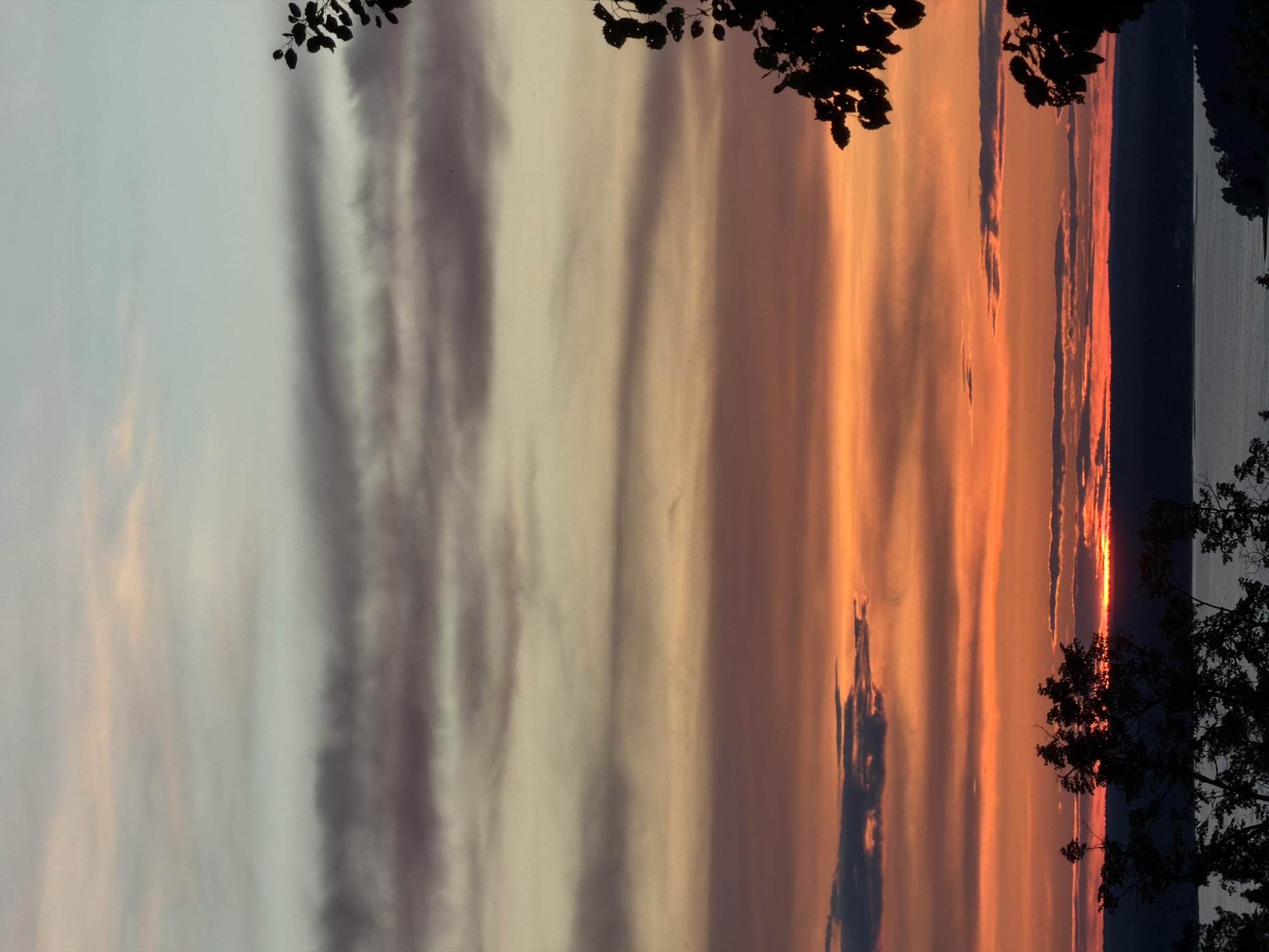 The image captures a vertical view of a sunset over a body of water, possibly a river or lake. The sky is filled with long, striated clouds that transition in color from gray on the left to orange and red on the right. The sun is setting on the horizon, creating a bright red glow that is reflected on the water's surface. Silhouetted tree branches frame the top and bottom of the image, suggesting the photo was taken from a wooded area. Given the location in Izhevsk, Russia, it's plausible this could be the Izhevsk Pond.