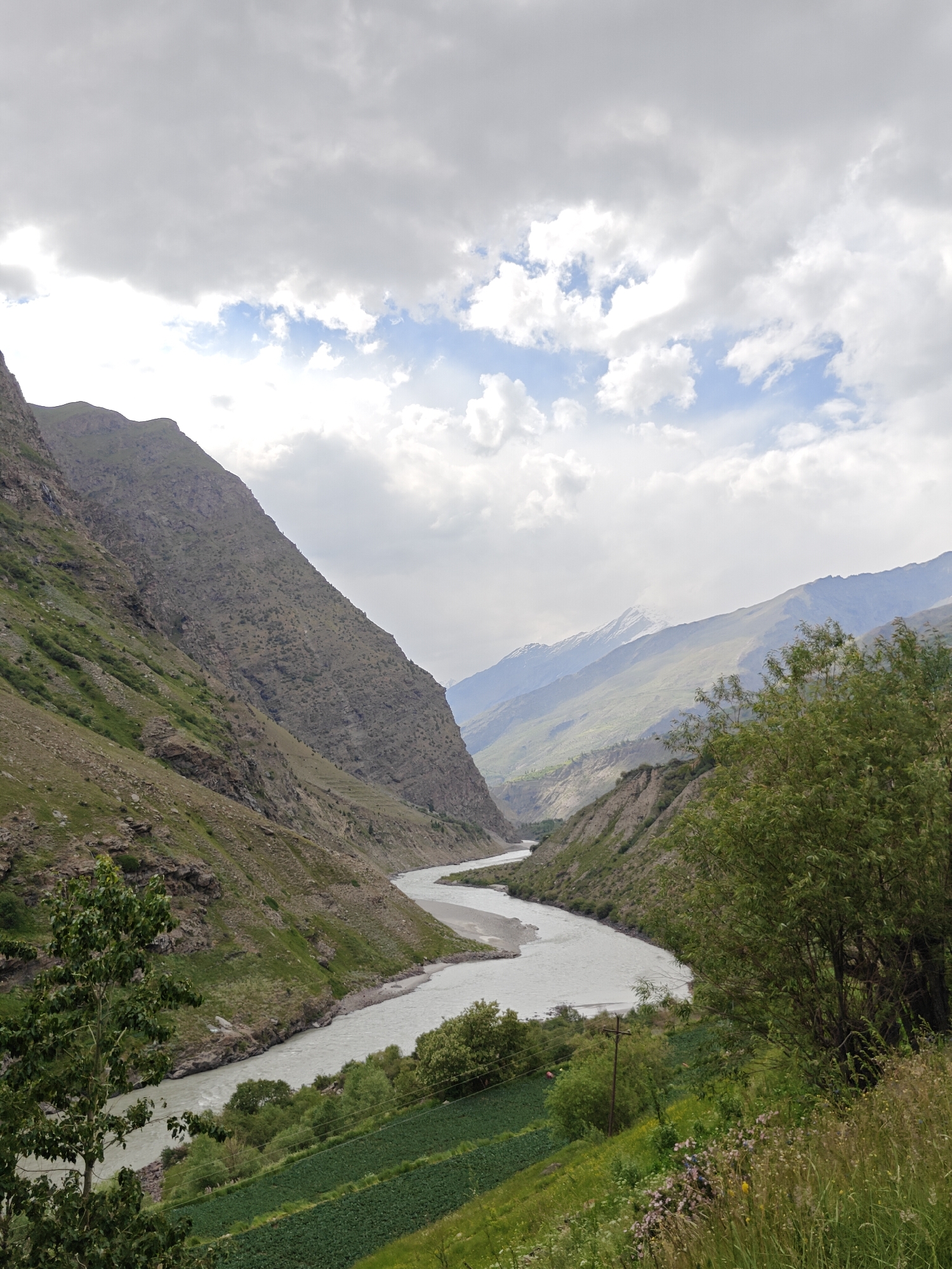 The image depicts a vast, rugged landscape dominated by a winding river flowing through a deep valley. The valley walls are steep and rocky, with patches of sparse green vegetation clinging to their slopes. In the distance, snow-capped mountains pierce the cloudy sky. In the foreground, a section of cultivated land, possibly agricultural fields, is visible, with rows of green crops. The overall scene is one of natural grandeur and remoteness. This location is identified as Tandi, India.