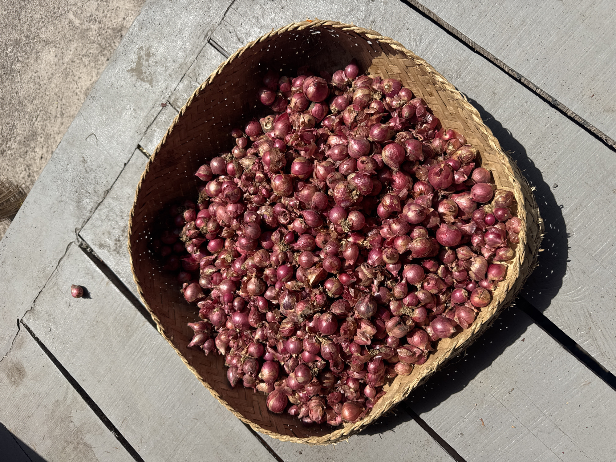 In the city of Abang, Indonesia, a woven bamboo basket overflows with shallots, their reddish-purple skins tightly wrapped. The basket sits on a weathered wooden surface, its planks running diagonally across the frame, casting long shadows in the bright sunlight. A single shallot lies separately on the concrete ground to the upper left of the basket, hinting at the harvest or preparation process. The environment appears to be outdoors, possibly a patio or drying area, given the sun and the rustic materials.