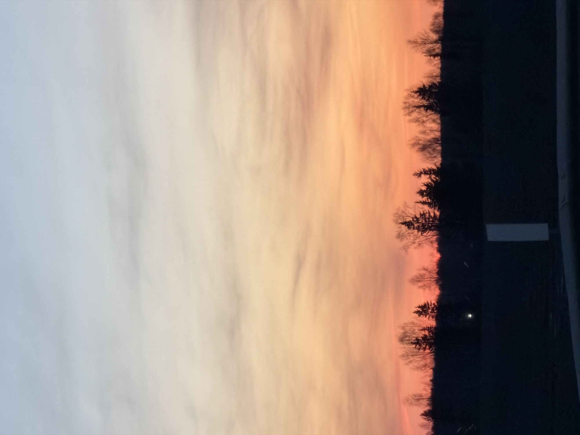 The image depicts a sunset or sunrise, showing a gradient of colors in the sky from pale grey to orange and red. A line of trees is silhouetted against the colorful sky. In the foreground and to the right, there is a dark area, likely an object or structure close to the camera. The scene appears to be outdoors, and the lighting suggests it is either early morning or late evening. The exact location is not discernible from the image alone. Therefore, I am unable to provide the precise location within the city of Kuregovo, Russia.