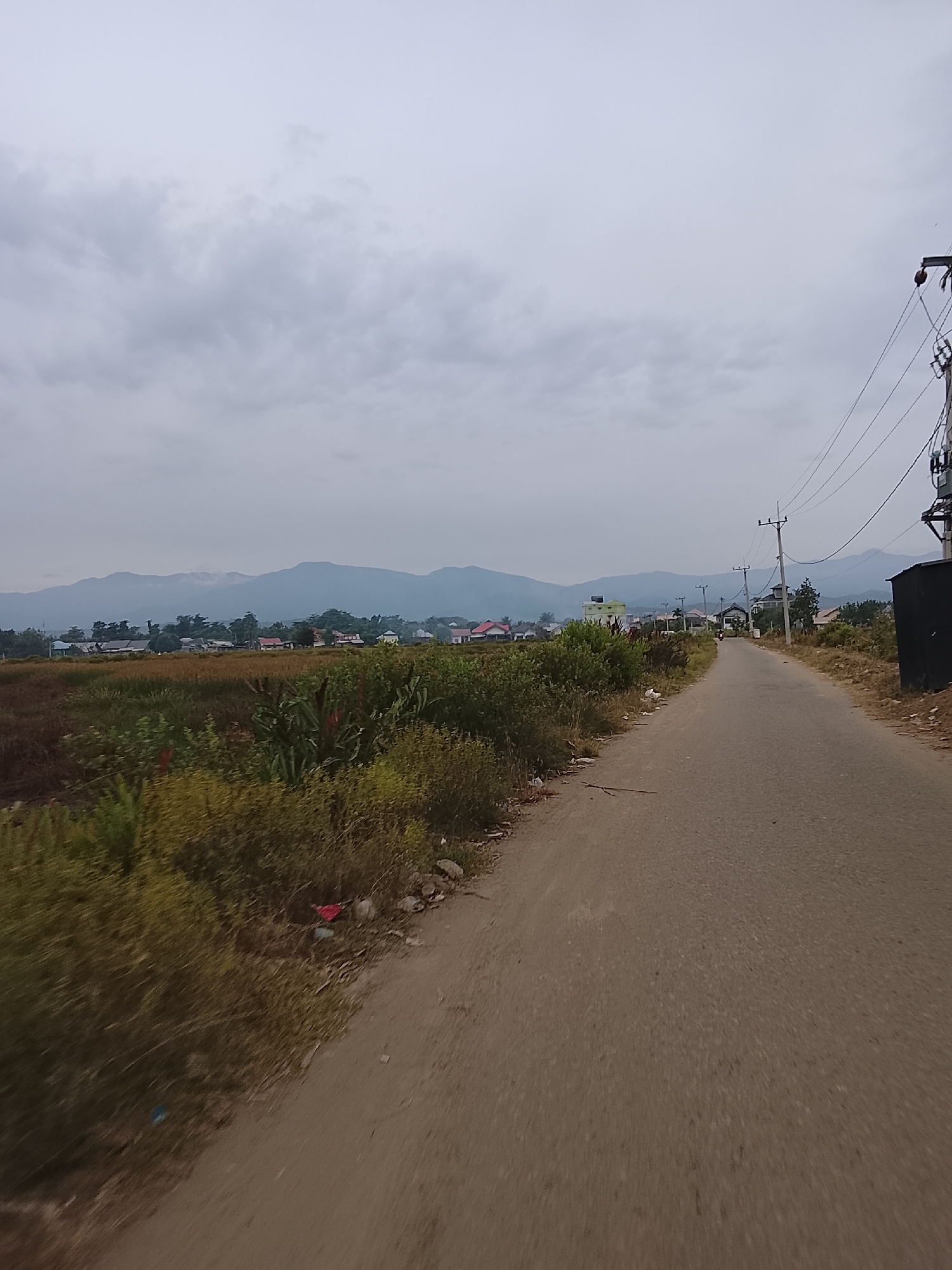 The image depicts a rural landscape with a paved road leading into the distance. The road is bordered by vegetation and occasional houses. In the background, a range of mountains can be seen under a cloudy sky. A power pole with wires is visible on the right side of the road. The scene appears to be located in a residential area within the village of Reudeup, Indonesia. There are no people visible in the image, and the overall atmosphere is quiet and serene. The vegetation on the left side of the road appears somewhat overgrown and there are a few pieces of litter visible amongst the plants.