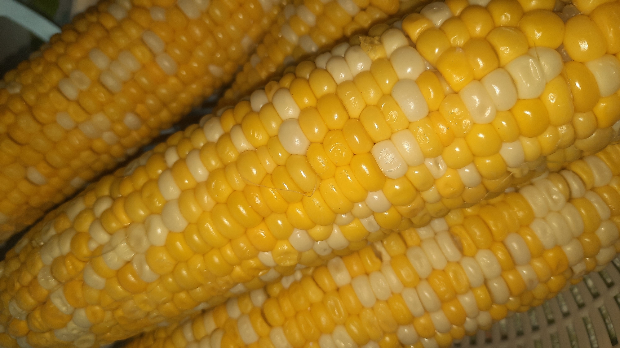 The image displays a close-up, vertical view of several ears of corn. The corn kernels are a mixture of bright yellow and creamy white, arranged in neat rows. The texture of the kernels appears plump and slightly glossy. The ears of corn are positioned diagonally, overlapping each other. The background is blurred but suggests a light-colored, possibly woven surface, like a basket. There are no people or any specific city landmarks visible in the image, therefore no information can be provided about the location in the city of Шклоў, Belarus.
