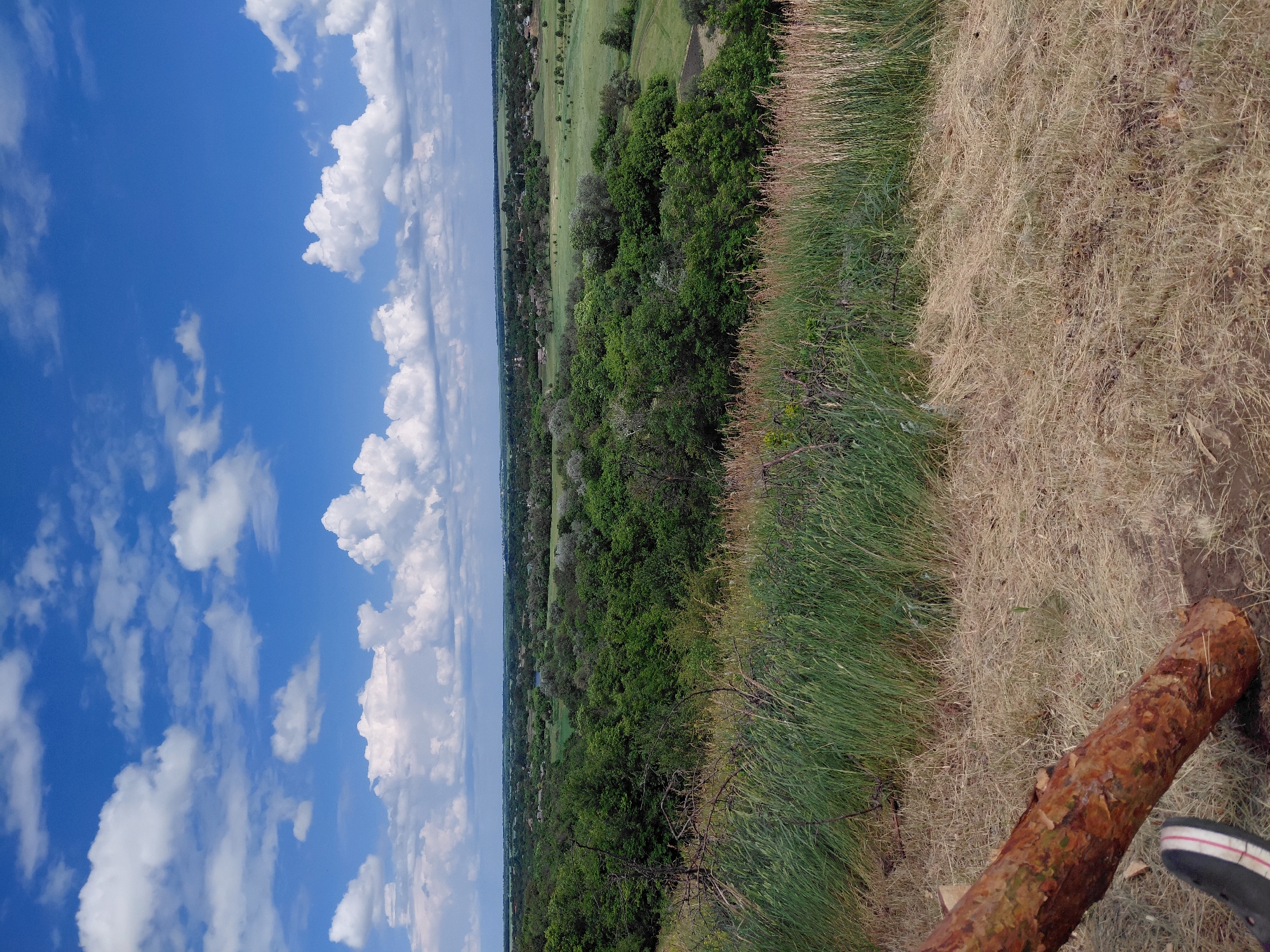 This is a landscape photograph taken from an elevated vantage point, looking out over a vast, green expanse of rolling hills and vegetation. The sky is a vibrant blue, dotted with fluffy white cumulus clouds. In the foreground, dry, straw-like grass covers the ground, with a large, rough-textured brown log lying diagonally from the lower left corner. The log appears to be a fallen tree trunk. A person's foot, clad in a dark shoe with red and white accents, is visible at the bottom left of the image, resting on the ground near the log.
Beyond the immediate foreground, the landscape transitions into lush green trees and fields. In the middle ground, dense clusters of trees form a rolling, wooded area, interspersed with open green spaces. A small body of water, possibly a pond or a slow-moving river, is visible within the greenery. Further in the distance, a village or small town is scattered across the landscape, with houses and buildings visible amongst the trees and fields. The horizon is flat, indicating a wide, open area. The overall impression is one of a serene, rural setting under a bright, partly cloudy sky.
This scene is located in the village of Ustyvytsia, Ukraine.