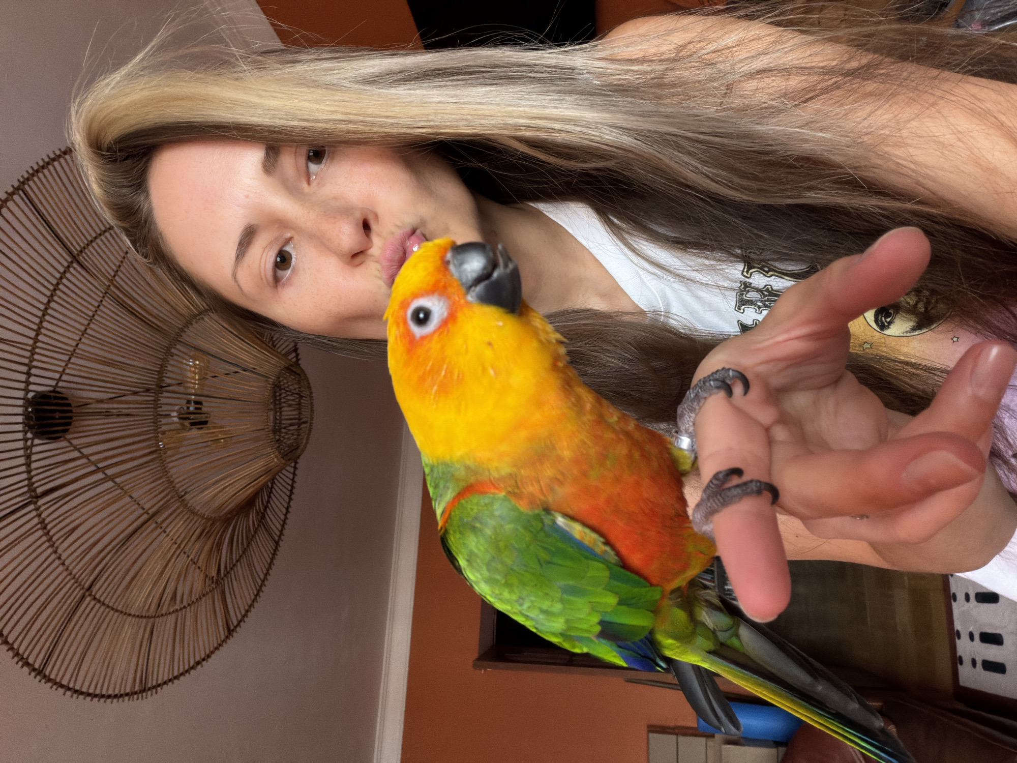 A woman with long, light-brown hair and a white t-shirt is seen at close range, her face tilted towards a Sun Conure parrot perched on her fingers. The woman's lips are close to the parrot's beak, suggesting a kiss or a close interaction. The parrot has bright yellow and orange feathers on its head and chest, transitioning to green on its wings and tail. The woman wears decorative rings resembling claws. In the background, a woven light fixture is visible. The location is not discernible within the image.