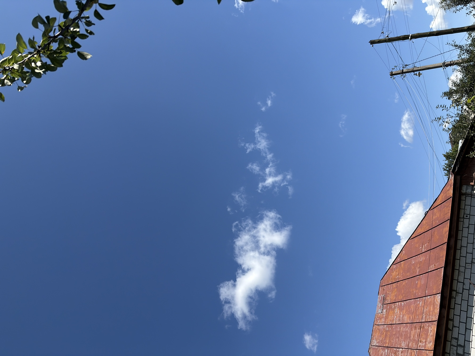 A low-angle shot shows a bright blue sky with a few scattered clouds. In the foreground, the weathered, reddish-brown metal roof of a building with white brick walls is visible on the left. On the right side of the image, two wooden utility poles with numerous wires and a single streetlamp are present, along with some green foliage from trees. A branch with green leaves hangs from the upper right corner. The scene appears to be an outdoor setting with a rural or suburban aesthetic.