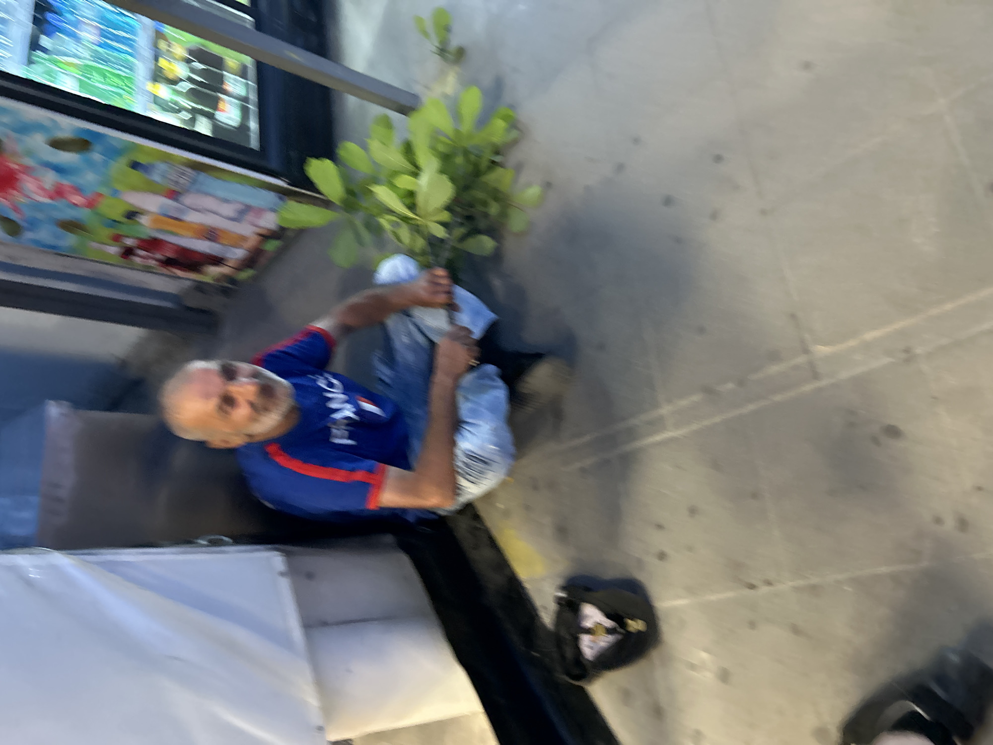 A blurred, medium shot captures an older man with a white beard and dark hair sitting on a light gray tiled floor. He is wearing a blue t-shirt with red and white trim and the word "FRANCE" visible across the chest. He is looking slightly to his right, with his mouth open. The man is holding a bunch of green leafy branches. To his left, a black bag with a white symbol on it rests on the floor. Behind him, a large, white tarp-like structure is visible on the left side of the frame, and a dark, metallic structure is behind the tarp. To the right of the man is a refrigerator with colorful artwork on its side, displaying various bottles. The lighting suggests an indoor or covered outdoor environment, possibly a market or shop. The scene is set in Asenovgrad, Bulgaria.