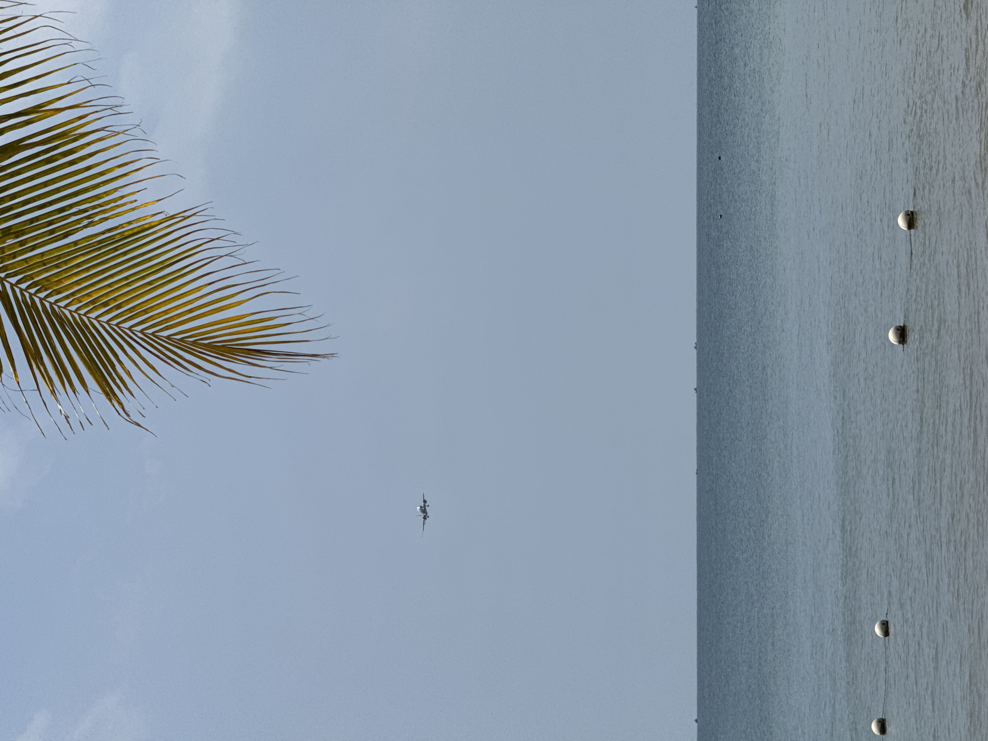 The image depicts a coastal scene in Phú Quốc, Vietnam, under a light blue, clear sky. In the upper right quadrant, a portion of a yellow-green palm frond extends diagonally downwards. A white passenger airplane, with landing gear deployed, is visible in the upper-mid section of the sky, flying left to right. Below the horizon line, the calm, dark blue-gray ocean surface extends across the lower third of the frame. Four white, spherical buoys float in a staggered line in the foreground water. Multiple small, dark vessel silhouettes are faintly visible along the distant horizon line. No individuals are present in the frame.