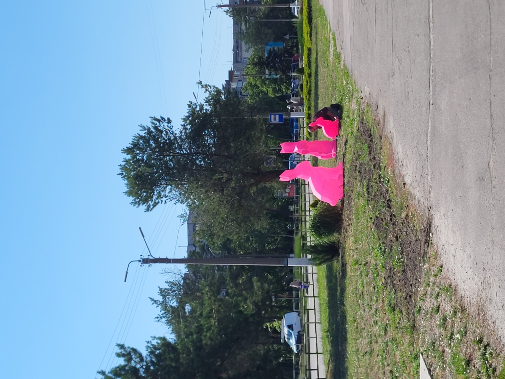 The image depicts a sunny outdoor scene on a street in Horishni Plavni, Ukraine. In the foreground, three bright pink rabbit-shaped sculptures are arranged on a grassy area. One person, wearing dark clothing, is kneeling beside the smallest sculpture, appearing to be working on it. A paved pathway runs alongside the grassy area. In the middle ground, a white van is parked on the left side of a road, with a person walking with a bucket behind it. Beyond the road, there are trees, a bus stop sign, and buildings in the background. Power lines and streetlights are visible overhead, indicating an urban environment. The overall impression is of a public space undergoing some form of temporary decoration or setup.