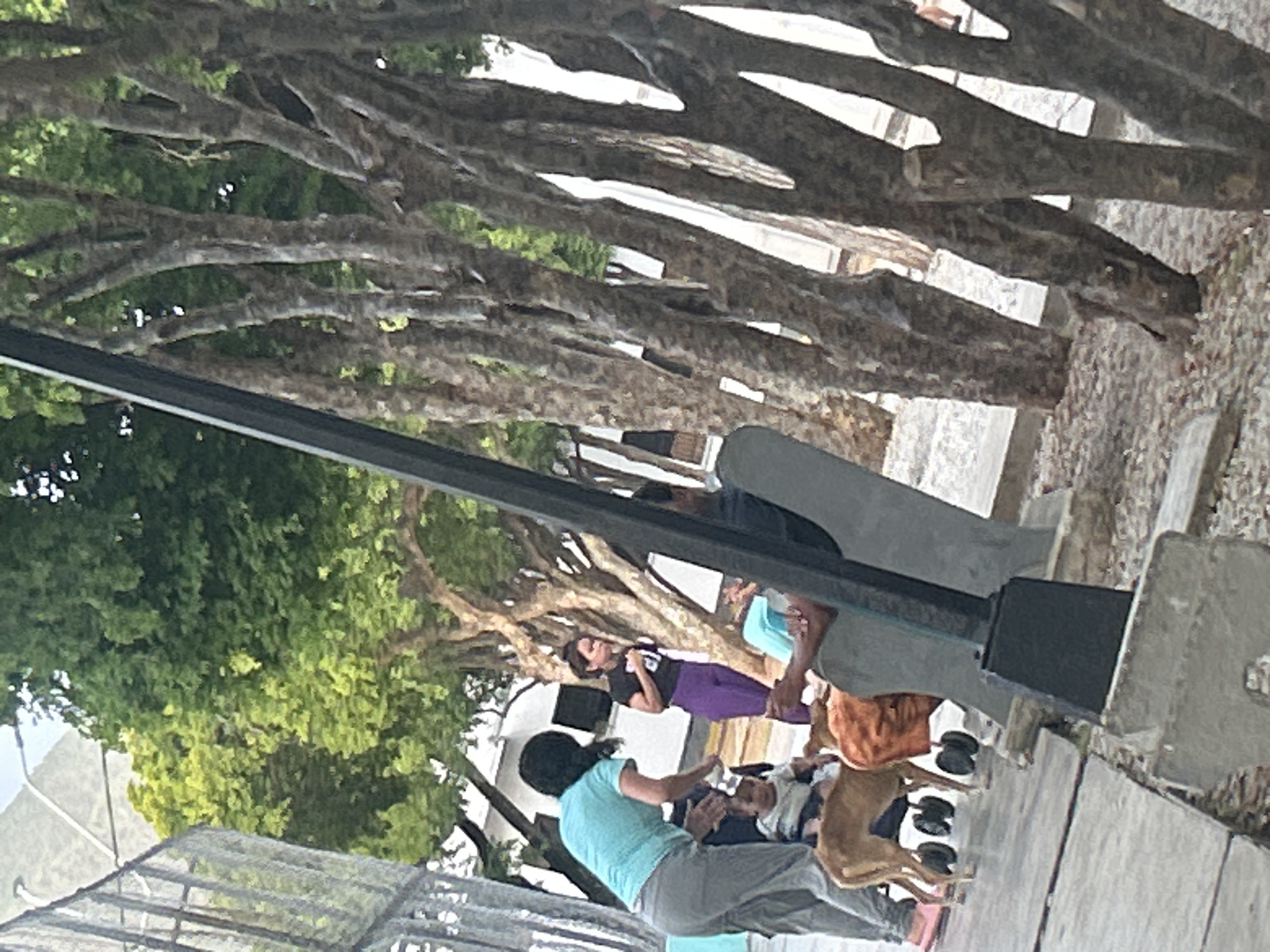 The image depicts an outdoor scene in Santa Ana, Venezuela, with several people and a dog. In the foreground, a person in a teal shirt and gray pants is bending over, interacting with a baby in a stroller. A light brown dog stands beside the stroller. To the right, a person in a black shirt and purple pants stands and looks down. Behind them, several people are seated in chairs. The environment is characterized by large trees with rough bark, providing shade, and a paved ground area. In the background, there are buildings and a chain-link fence. The overall impression is a casual gathering in a public outdoor space.