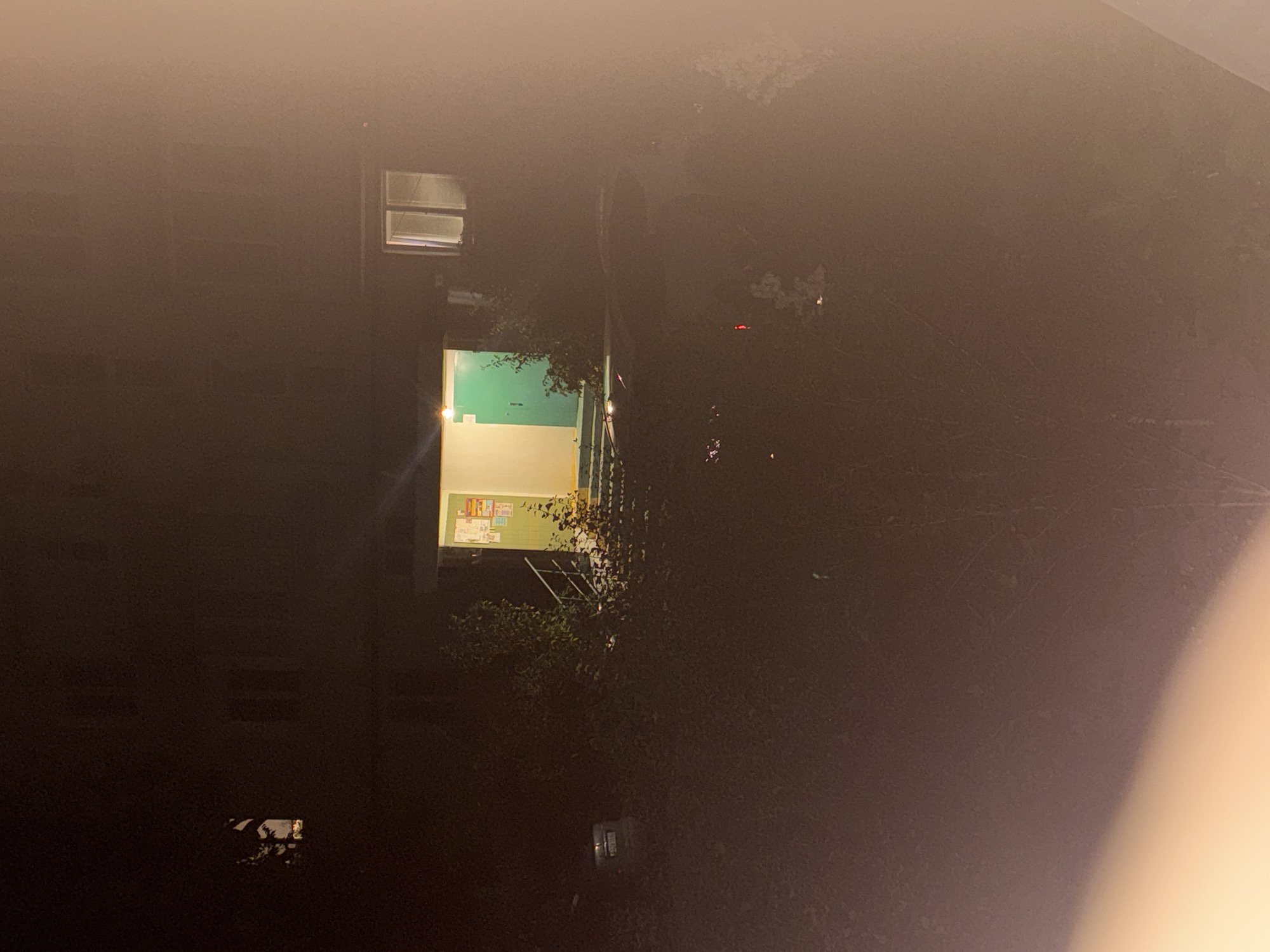 The image depicts a nighttime scene in the city of Skalyste, Ukraine. In the center of the frame, an entrance to a building is visible, illuminated by an overhead light and light emanating from within. The entrance features a green door and a set of stairs leading up to it. There are posters or notices displayed on the wall next to the door. To the right of the entrance, a window with two panes of glass is illuminated. To the left of the entrance, a small, dark-colored car is parked. The foreground and surrounding areas are obscured by darkness and foliage, with some faint lights suggesting other structures or activity in the distance. The overall impression is one of a residential or communal building entrance at night.
