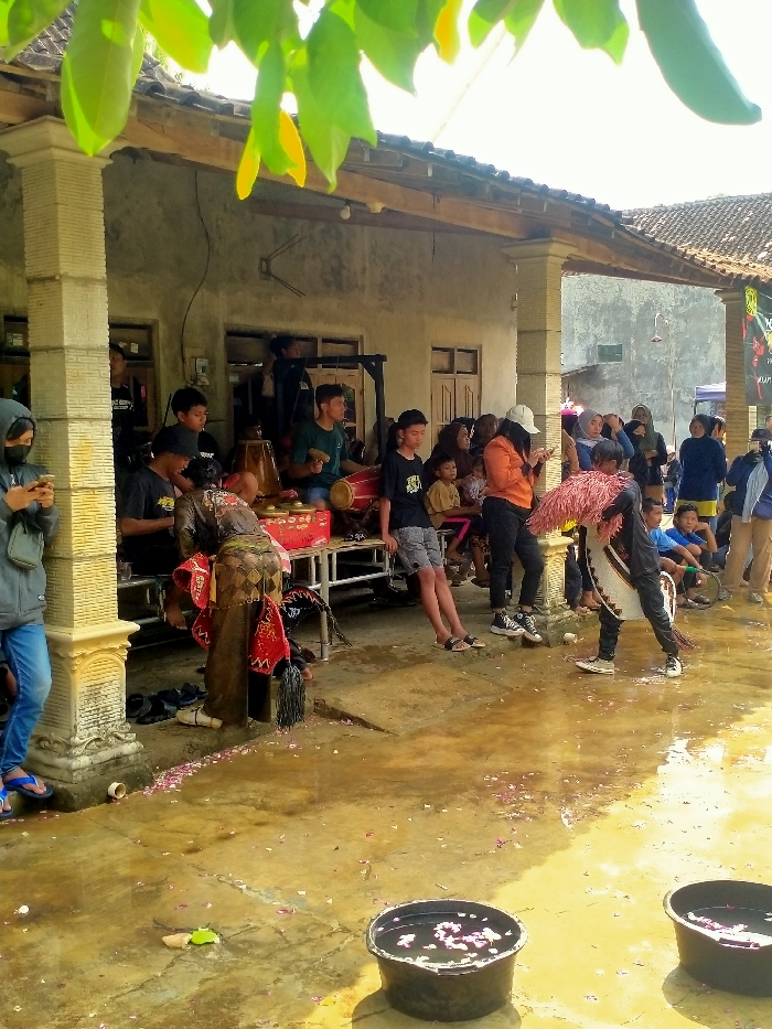 An outdoor cultural event is depicted in Gebyog, Indonesia, under the extended roof of a building with decorative pillars and a tiled roof. The concrete ground is wet in sections and scattered with pink and white flower petals. Two black plastic buckets filled with water and petals rest in the foreground.
Approximately 20-30 individuals are present. On the far left, an individual in a gray hoodie and blue jeans is standing by a pillar, engrossed in a smartphone. Nearby, another individual, dressed in a dark traditional costume with red and gold accents and an elaborate headpiece, is bent forward near the base of the pillar, with several pairs of shoes scattered close by. To the right, several young males are positioned behind a metal table supporting traditional Indonesian musical instruments, including a kendang drum and gamelan components; one male in a green shirt holds a mallet. Further right, an individual wearing a dark and white costume with a large, feathery or fibrous red and white element attached to their back is actively performing a dance or ritualistic movement on the wet ground. Various other individuals, including adults and children, are observing the scene from seated and standing positions, some also using smartphones, such as a female in an orange shirt and white cap. In the background, a light-colored wall and a banner are visible. Green foliage partially obscures the top of the frame.