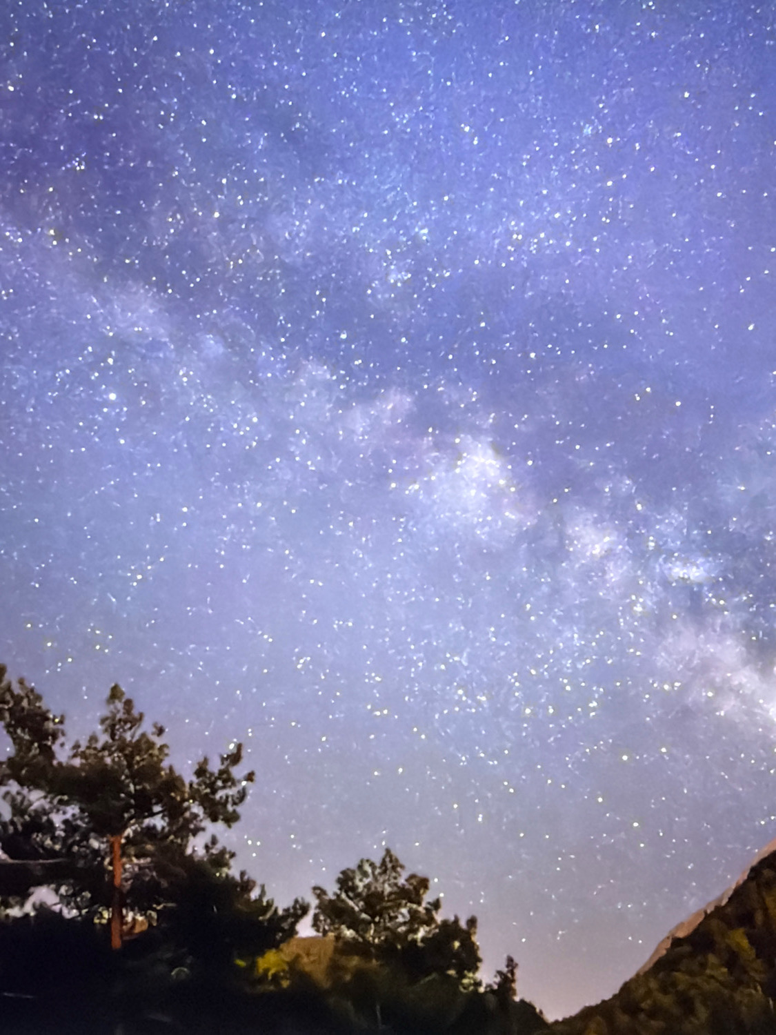 An upward-facing, medium shot captures the Milky Way galaxy against a dark, starry sky, with the silhouettes of pine trees and a mountain range in the foreground. The sky transitions from a deep indigo at the top to a lighter, hazy blue towards the horizon, peppered with countless white stars and a luminous band of the Milky Way. The trees, dark and indistinct, frame the bottom portion of the image, with a hint of faint light suggesting a distant, urban glow from Kafr Yasif, Israel, in the lower right corner. The overall atmosphere is serene and awe-inspiring, emphasizing the vastness of the cosmos.