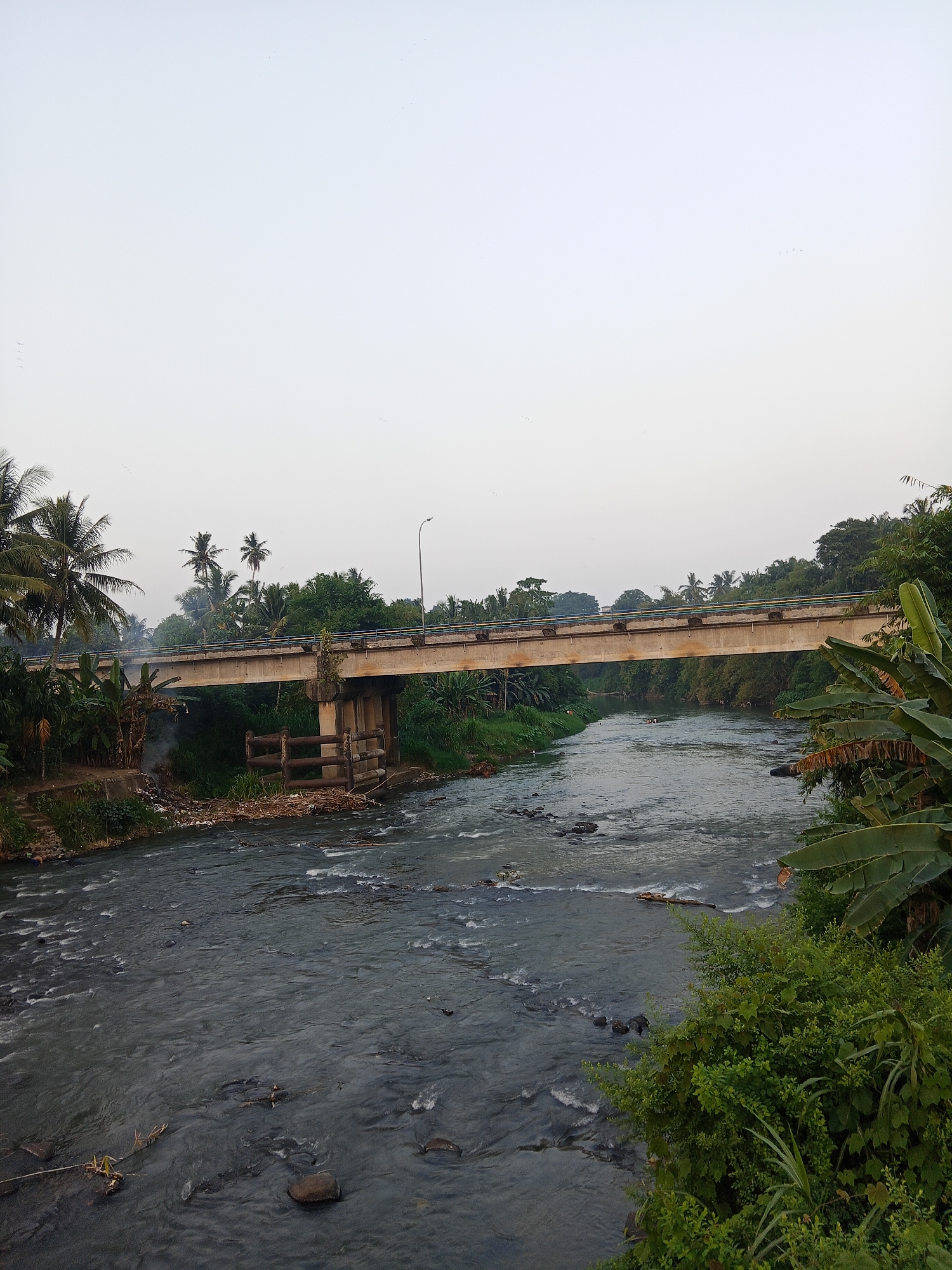 The image depicts a concrete bridge spanning a river in Lubuklinggau, Indonesia. The river flows with visible ripples and rocks beneath its surface, suggesting a moderate current. The riverbanks are lined with lush green vegetation, including trees and banana plants, and on the left bank, there is visible debris and smoke, indicating potential pollution or informal waste disposal. The bridge itself is supported by concrete pillars and has a railing along its edges. A lamppost stands on the bridge, and several birds are seen flying in the pale, overcast sky. The overall scene captures a natural environment impacted by human infrastructure and activity.