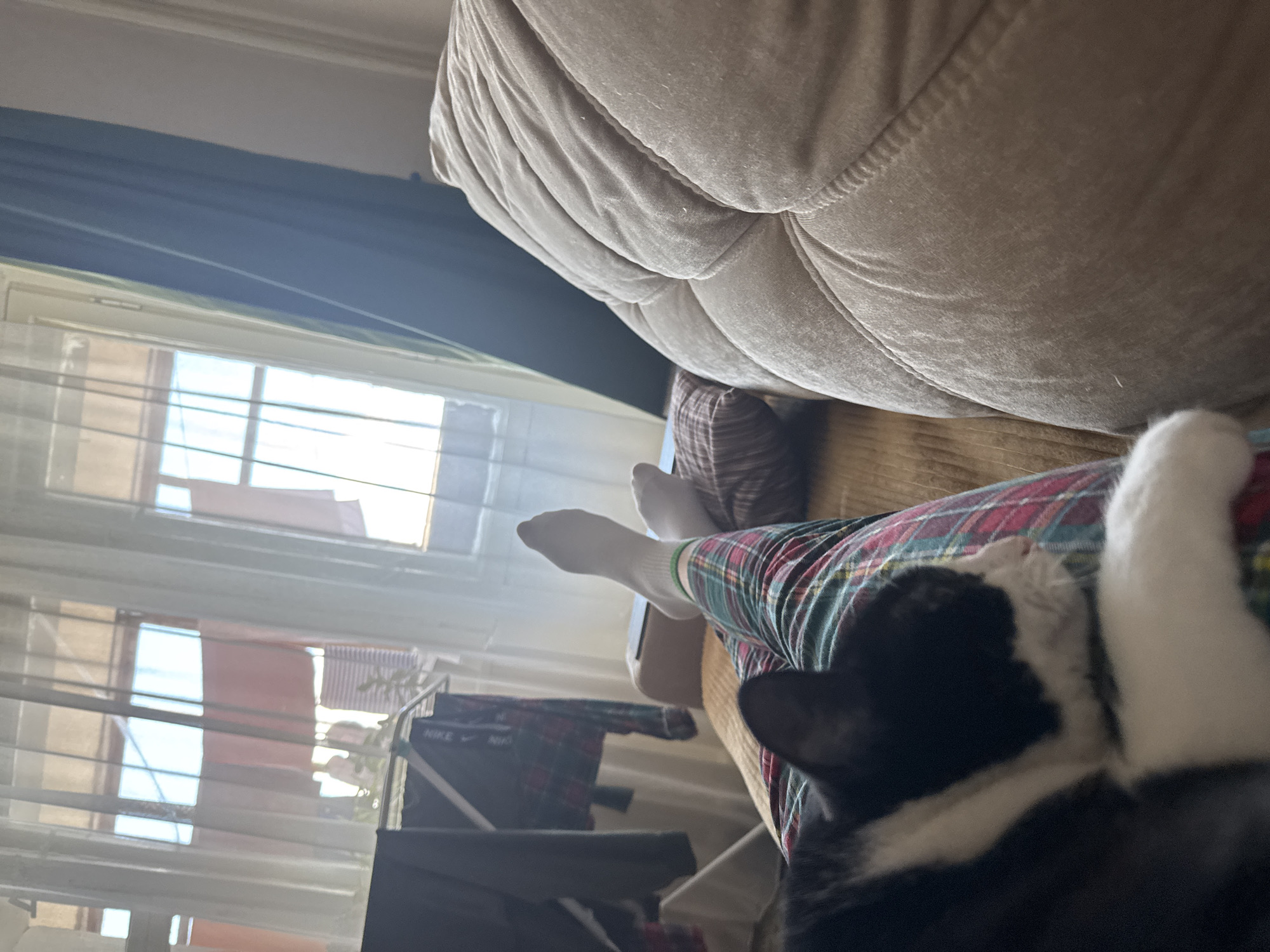 The image captures a rotated, low-angle perspective of an indoor scene, likely a living room or bedroom in Chaikovsky, Russia. A person is seen relaxing on a textured, light brown sofa, with their legs extended. They are wearing white socks and plaid pajamas, which are predominantly red, green, and blue. A black and white cat is resting comfortably on or next to the person's lap/legs, with only its head and part of its body visible, its white fur contrasting with the plaid fabric.
Bright natural light streams in from a large window on the left side of the frame, indicating daytime, possibly morning or afternoon. The window is covered by sheer white curtains or blinds, diffusing the light and partially obscuring the view outside, though some vertical and horizontal lines of a window frame or building can be discerned. Below the window, a white clothes drying rack is visible, with various items of clothing hanging on it. One item clearly shows the text "NIKE".
The scene conveys a relaxed and casual atmosphere, suggesting a moment of quiet repose or leisure. The beige sofa occupies a significant portion of the upper right of the frame, its soft texture visible.