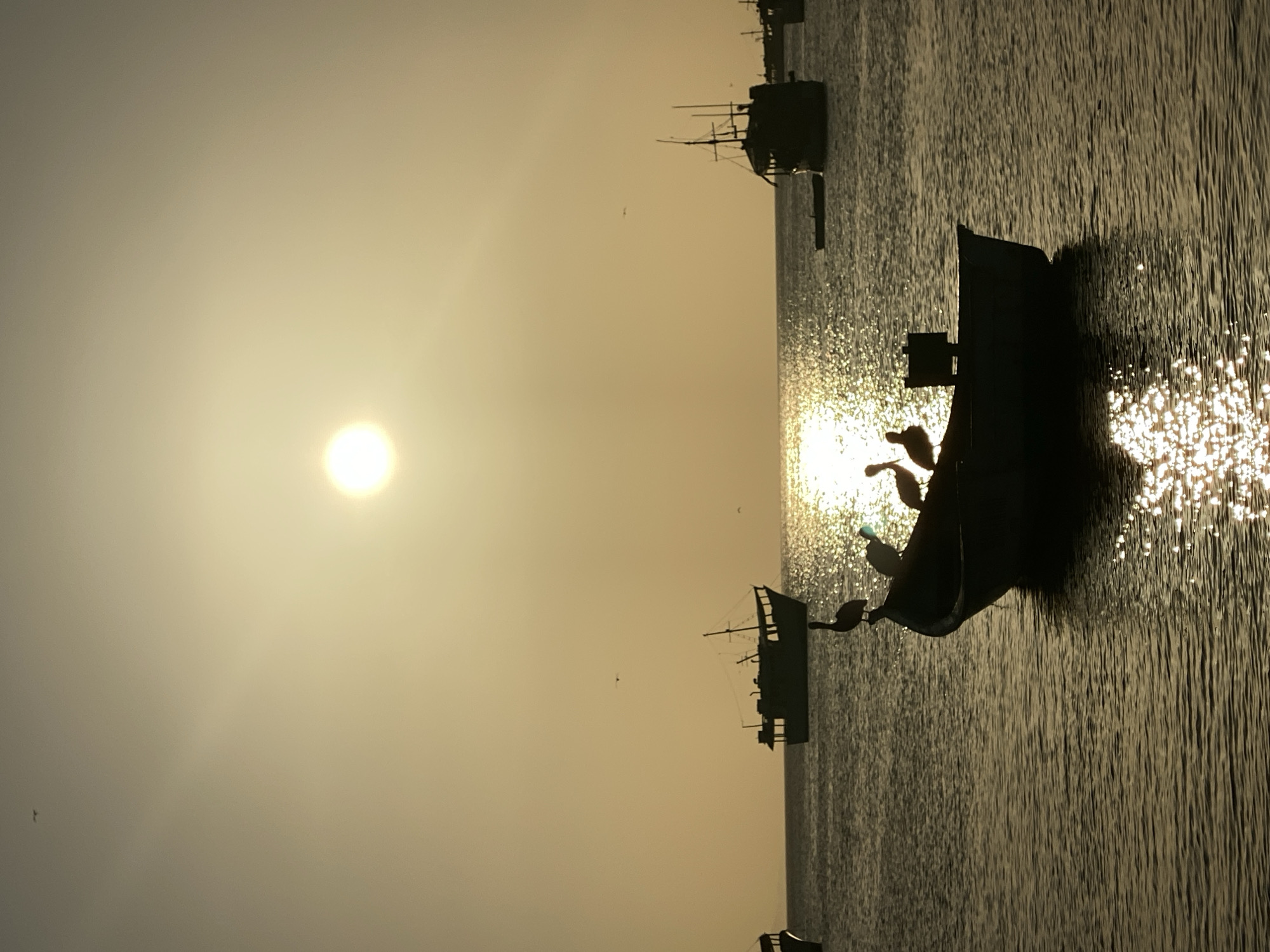 The image shows a seascape at sunset, possibly in Juan Griego, Venezuela. The scene is dominated by the silhouettes of several boats anchored in the water. The sun, a bright orb in the upper left, casts a golden glow over the water and sky. The sea's surface reflects the sunlight, creating a shimmering effect. In the foreground, a small boat holds two or three seabirds perched on its edge. Several birds fly around and above the fishing boats in the distance.