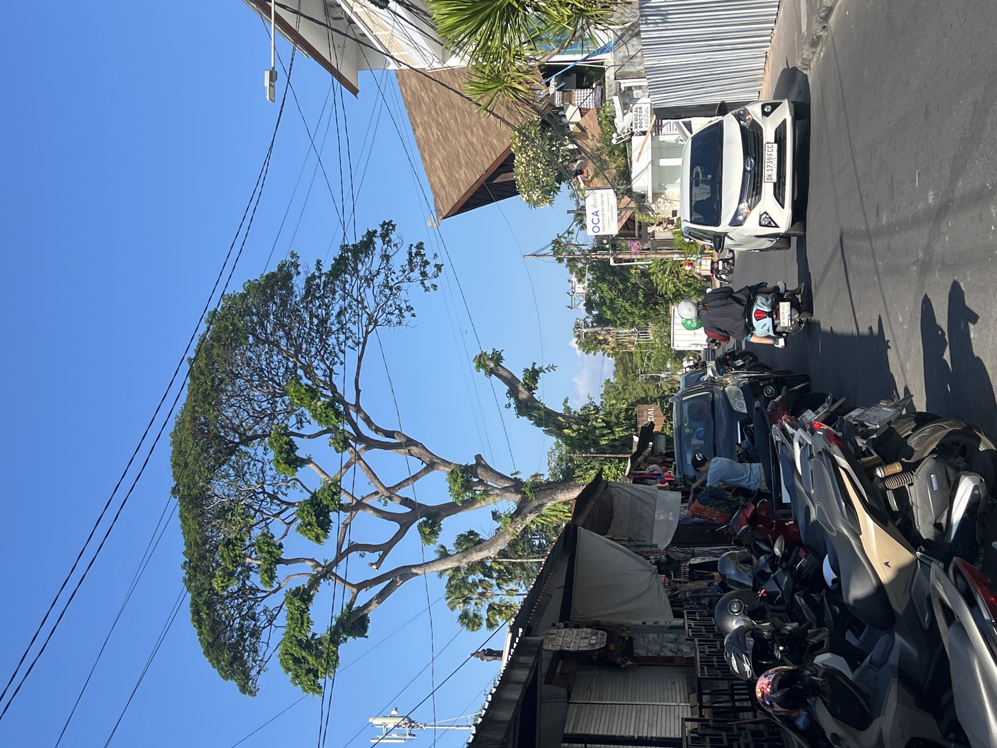 This image depicts a street scene in Denpasar, Indonesia, characterized by a clear blue sky and bright daylight. The foreground is dominated by a row of parked motorcycles, some with helmets resting on them. To the left, a row of storefronts with awnings and hanging merchandise is visible. In the midground, a dark SUV is parked, and beyond it, a white car is driving down the street. A person is riding a scooter in the right lane. In the background, a large, mature tree with a wide canopy stands prominently, its branches extending across a significant portion of the frame. The background also includes buildings, power lines, and tropical vegetation, suggesting a vibrant urban environment. A sign for "OCA divers" and another for "MEDICAL DOCTOR" are visible on buildings. The overall impression is of a bustling street in a tropical city.