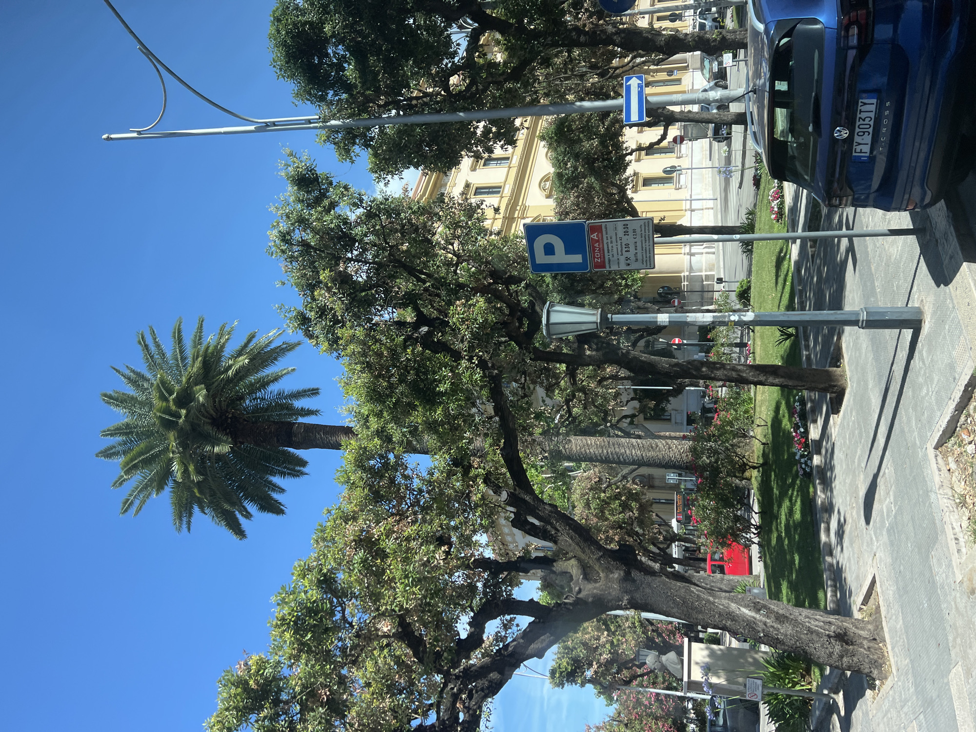 The image depicts a street scene in Bari, Italy, with a bright blue sky suggesting a sunny day. The perspective is from a vehicle, looking forward and slightly upwards. Dominating the foreground are the lush green canopies of mature trees, their branches reaching out and creating dappled shade on the sidewalk. A tall palm tree stands prominently to the left.
In the middle ground, a building with a yellow facade and numerous windows is visible, hinting at an urban environment. A street sign with a blue "P" indicates a parking zone, labeled "ZONA A" with operating hours from 8:30 to 20:30 and an hourly rate of €2.00. A blue directional arrow sign is also present.
To the right, a blue Volkswagen T-Cross car is parked, its license plate reading "FY-903TY." The car is positioned near the sidewalk, which is paved with grey tiles. In the background, more trees and greenery line the street, interspersed with glimpses of other vehicles and buildings.
A small patch of flowers in red, pink, and white adds a touch of color to the grassy area beside the sidewalk. The overall scene conveys a calm, everyday moment in a city, likely during daylight hours, given the bright sunshine and clear sky. No people are directly visible in the frame, but the presence of parked cars and street signage implies human activity in the area.