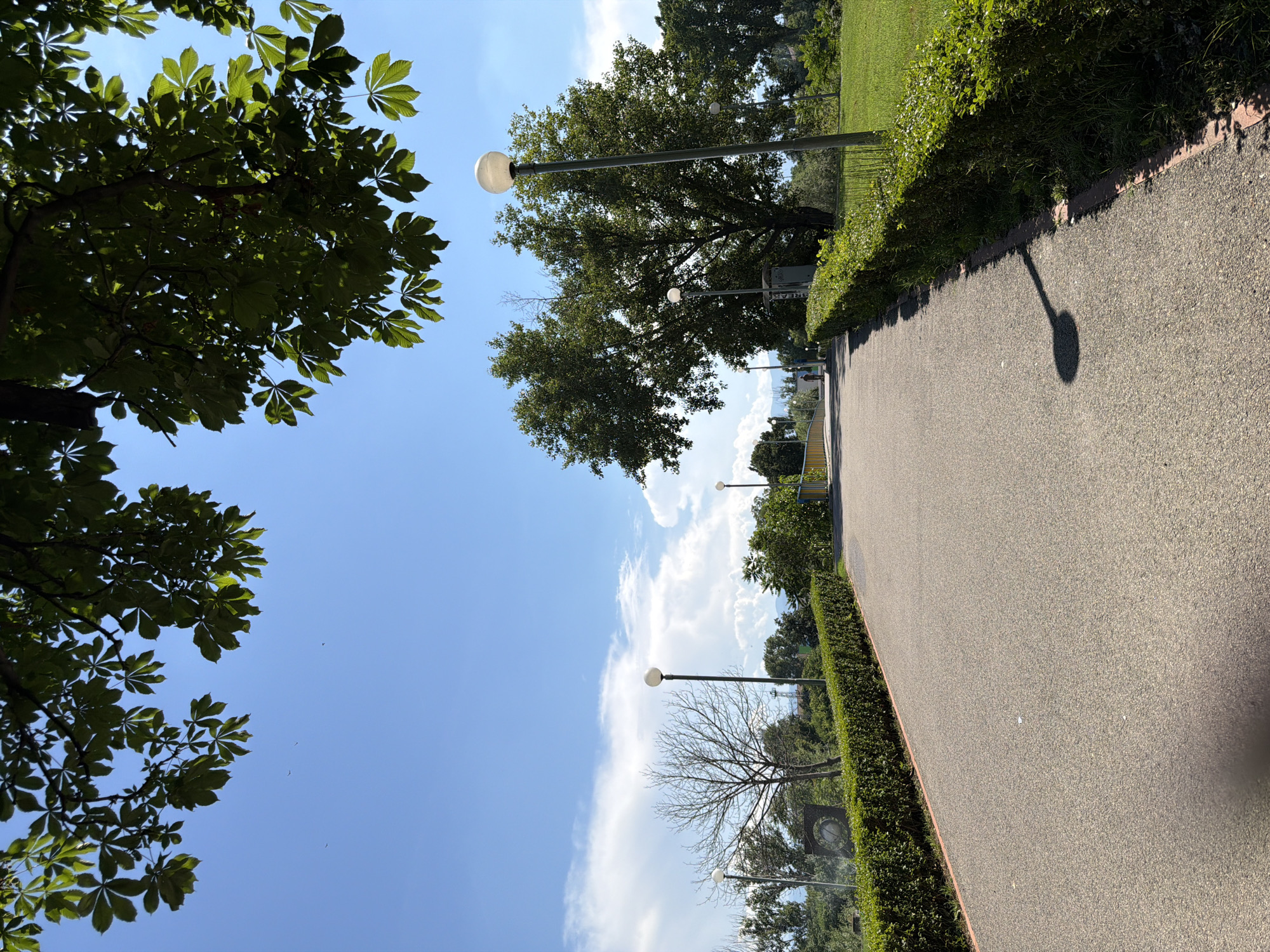The image depicts a pathway in a park on a sunny day. The pathway is paved and bordered by a neatly trimmed green hedge on both sides. Several lampposts with globe-shaped lights are visible along the path. In the background, there are trees, some with full green foliage and others appearing bare. The sky is blue with scattered white clouds. The scene appears to be an outdoor public space. There are no people or animals clearly visible in the main area of the pathway. The vegetation and the style of the lampposts suggest a European setting. Without further information or context, it is not possible to definitively identify the specific location within Pazardzhik, Bulgaria.