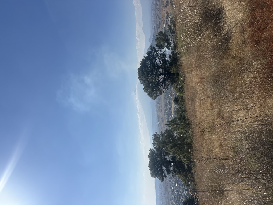 A high-angle shot reveals a vibrant blue sky with subtle cloud formations. Below, a landscape unfolds with two prominent trees overlooking a distant city nestled between mountains. Dry, brown grasses and vegetation occupy the foreground, leading towards the city view. The composition suggests a vantage point from a hillside.