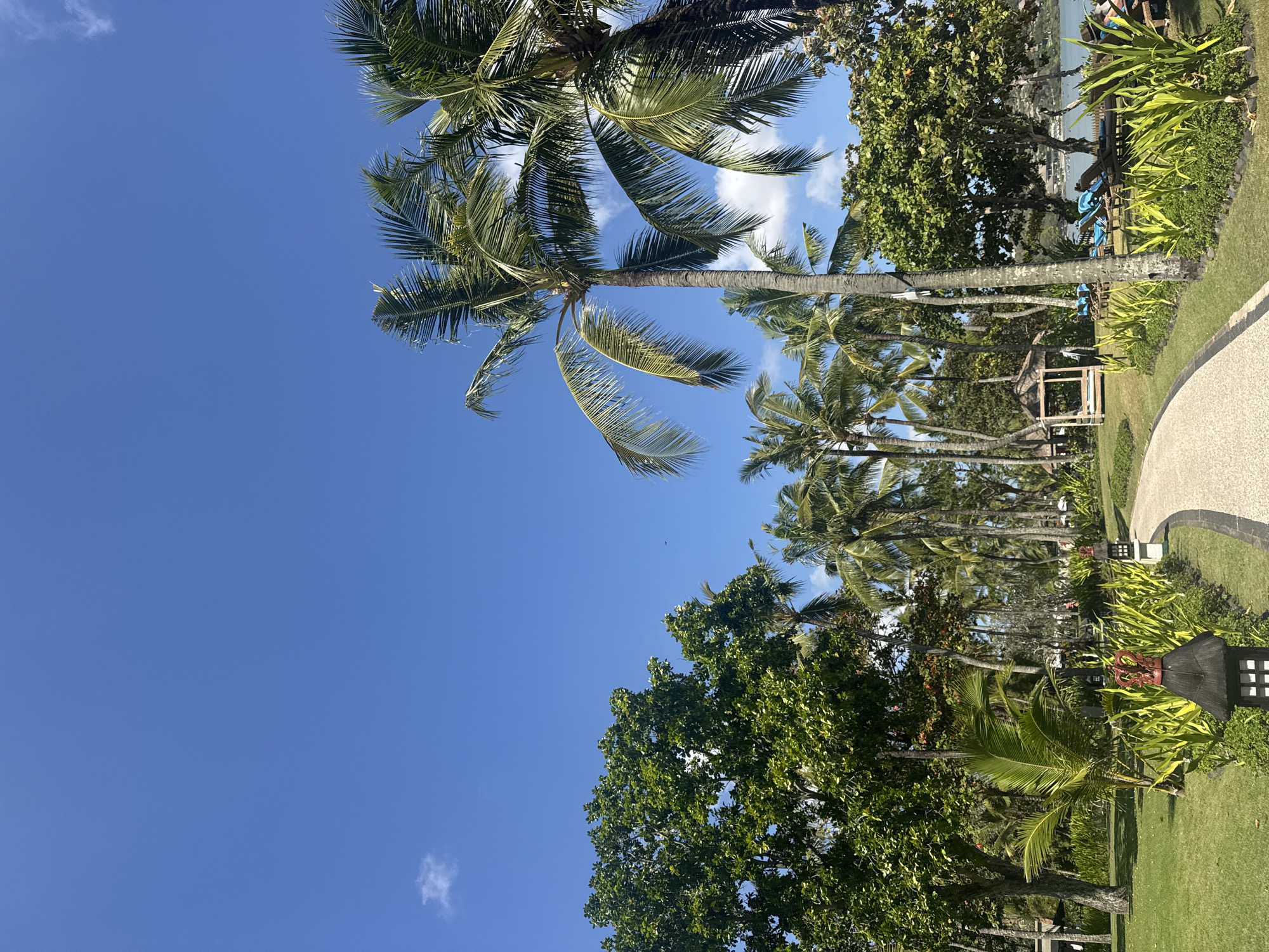 A paved pathway curves through a lush tropical resort in Kuta Selatan, Indonesia. The path is lined with manicured grass and vibrant green foliage, with decorative lanterns placed at intervals. Towering palm trees dominate the scene, their fronds reaching towards a clear blue sky dotted with a few wispy clouds. In the background, a small thatched-roof pavilion and lounge chairs suggest a relaxed resort atmosphere. A body of water, likely the ocean, is visible beyond the trees on the right side of the image. The overall impression is one of serene tropical beauty and vacation relaxation.