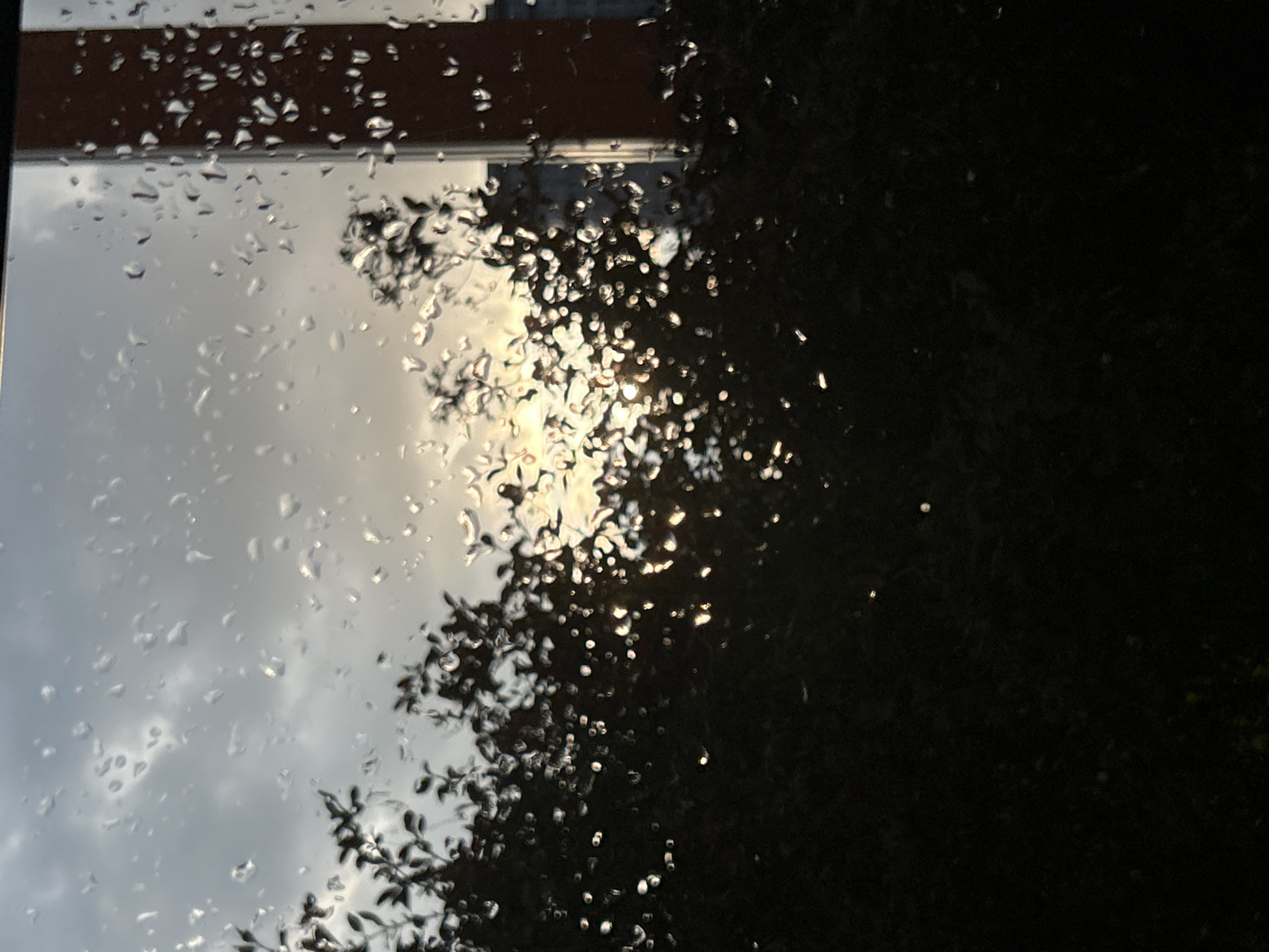 The image captures a view through a window on a cloudy day, with rain drops distorting the scene. Dark foliage, likely trees or bushes, occupies the foreground, obscuring much of the lower portion of the frame. Behind the foliage, the sky is overcast with diffused sunlight attempting to break through. On the right side of the image, a tall, dark red structure, possibly a building or a chimney, is visible. The location is identified as Ivanovo, Russia. There are no people or discernible actions depicted in the image.