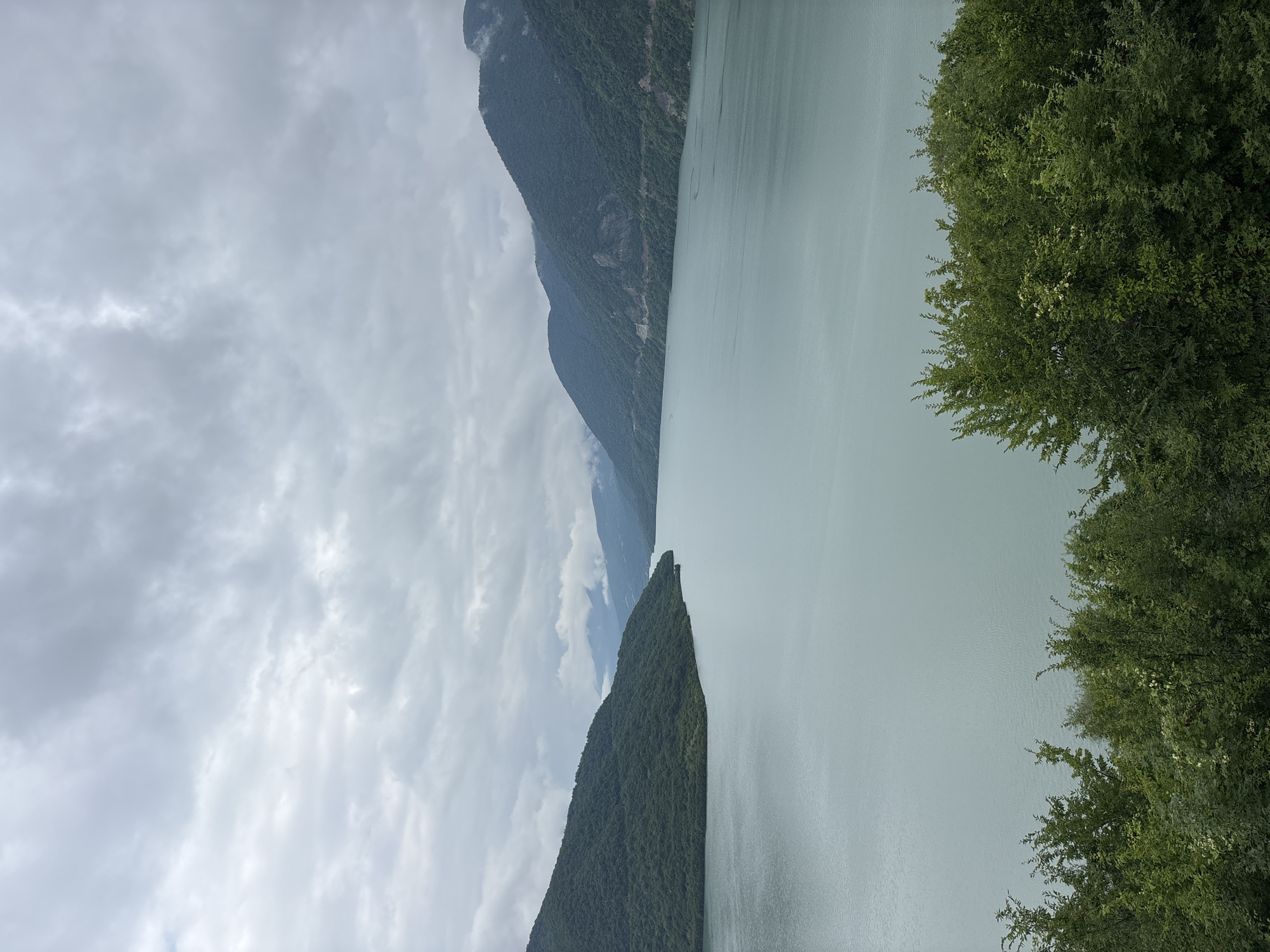 The image captures a wide-angle view of a large, calm body of water, likely a lake or reservoir, with heavily forested mountains on either side. The sky is overcast with a muted, gray tone, suggesting cloudy weather. In the foreground, the lush green foliage of trees and bushes lines the bottom of the frame, creating a natural border between the viewer and the water. The water itself is a pale, turquoise-green color, reflecting the subdued light from the sky. The mountains recede into the distance, their slopes covered in dense, dark green trees. The overall impression is one of natural beauty and tranquility under a cloudy sky. The location is identified as being in Aranisi, Georgia.