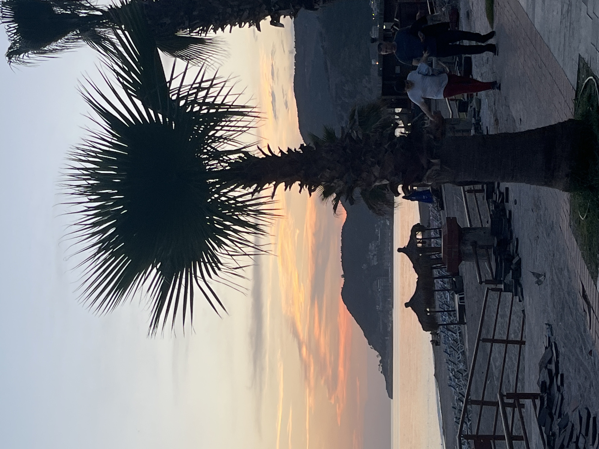 The image shows a coastal scene, likely in Alanya, Turkey, given the presence of palm trees and a seaside setting. The view is partially obscured by the silhouette of a palm tree in the foreground, its fronds creating a dark, spiky outline against the sky. Behind the palm, a sunset paints the sky with shades of orange and yellow, casting a warm glow over the water. A landmass or mountain range is visible in the distance, its dark form contrasting with the bright sky. On the right side of the image, a paved walkway with people is present. Two individuals are walking on the path, while some beach amenities such as benches are seen.