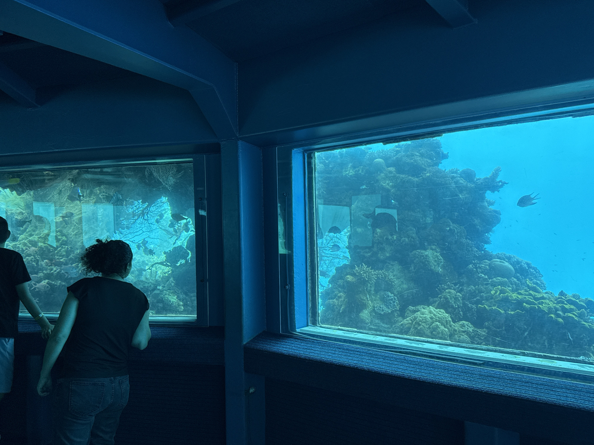 An indoor observation deck at the Eilat Underwater Observatory overlooks a vibrant coral reef teeming with marine life. Two individuals, seen from the back, are positioned at the large windows, observing the underwater world. The person on the left is wearing a dark t-shirt and light-colored shorts, while the person on the right is dressed in a black t-shirt and blue jeans. The reef features a variety of coral formations in shades of green and brown, with numerous small fish swimming around. The water is a clear, bright blue, illuminated by natural light filtering from above. The observation deck itself is dimly lit, with dark blue walls and the underside of the structure visible at the top.