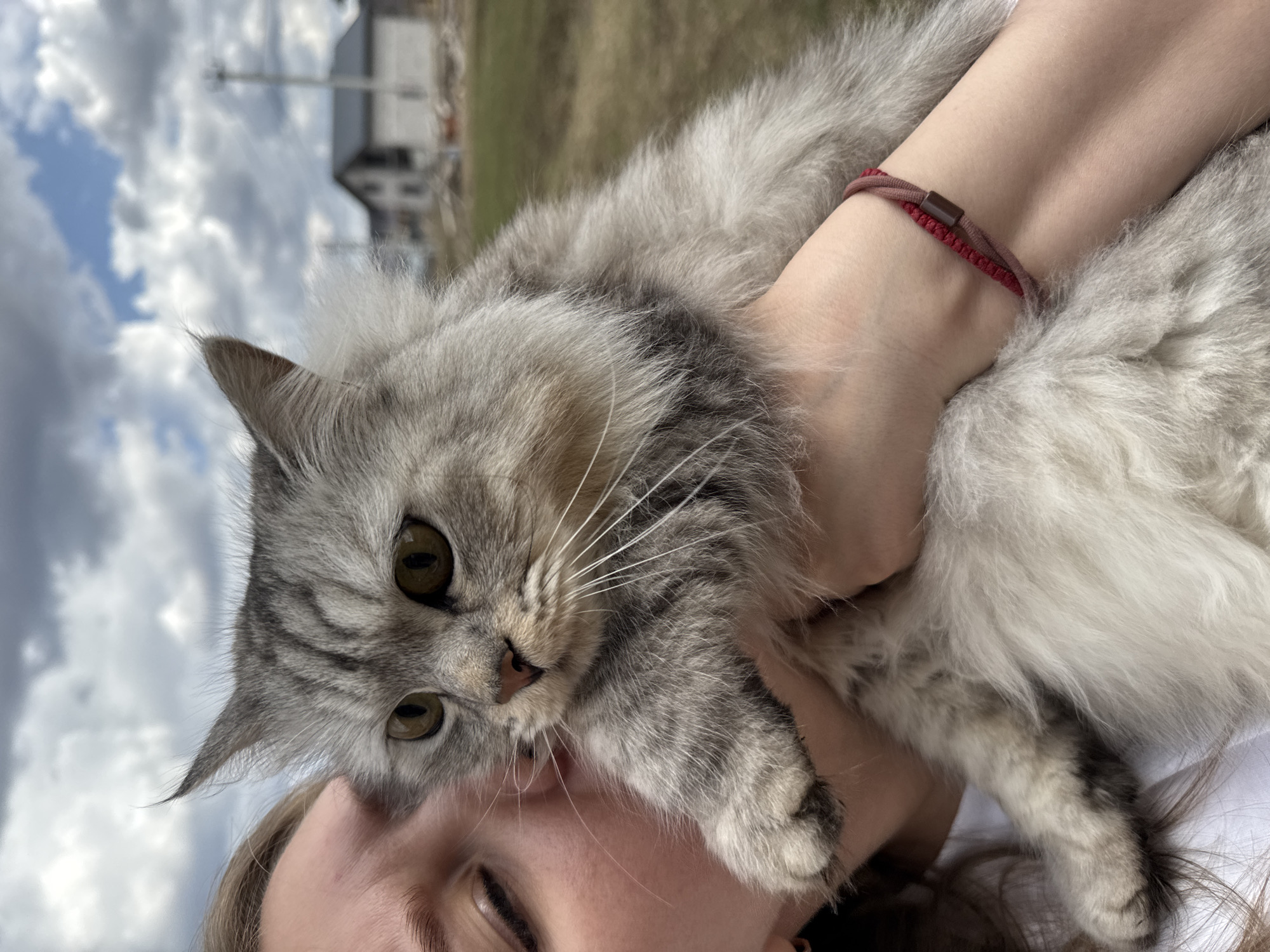 An outdoor, diagonally oriented close-up shot features a person holding a fluffy, long-haired cat. The cat is the prominent subject, resting its head and front paws on the person's face and shoulder, looking directly at the viewer with wide, green-gold eyes. It has thick, grey and white fur with faint tabby stripes, particularly visible on its face and limbs, and long, prominent white whiskers. The cat appears calm and relaxed.
The person's face is partially obscured by the cat, with one eye, part of the nose, and the chin visible. Their arm, holding the cat securely, is also seen, adorned with a red and brown elastic hair tie or bracelet featuring a small brown cylindrical bead.
The background consists of a bright, cloudy sky with hints of blue, suggesting daytime. In the blurred distance, out-of-focus structures, possibly buildings or power lines, are visible against what appears to be open land or foliage. The scene conveys a peaceful and affectionate interaction between the human and the cat. The weather is overcast, and the location context is Gornyi (Dvurechenskoe S/P), Russia. There is no visible text in the image.