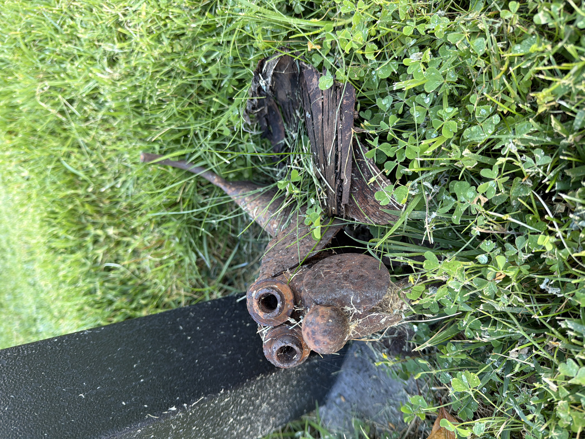 The image shows a close-up, eye-level shot of a weathered, rusted metal sculpture resembling a dragonfly lying in short green grass and clover. The sculpture is located outdoors, near a dark, textured object, possibly a fence post or sign. The dragonfly sculpture has two large, circular, rusted metal parts for eyes, a smaller round metal piece for a nose, and a body constructed from various rusted metal components. Its wings appear to be made from a dark, weathered piece of wood or metal. The grass is slightly damp, with visible water droplets on some of the clover leaves, suggesting it may have recently rained or that there is dew. The background is a blur of green grass. The sculpture's location in Aliso Viejo, United States of America, is not discernible from the image itself.