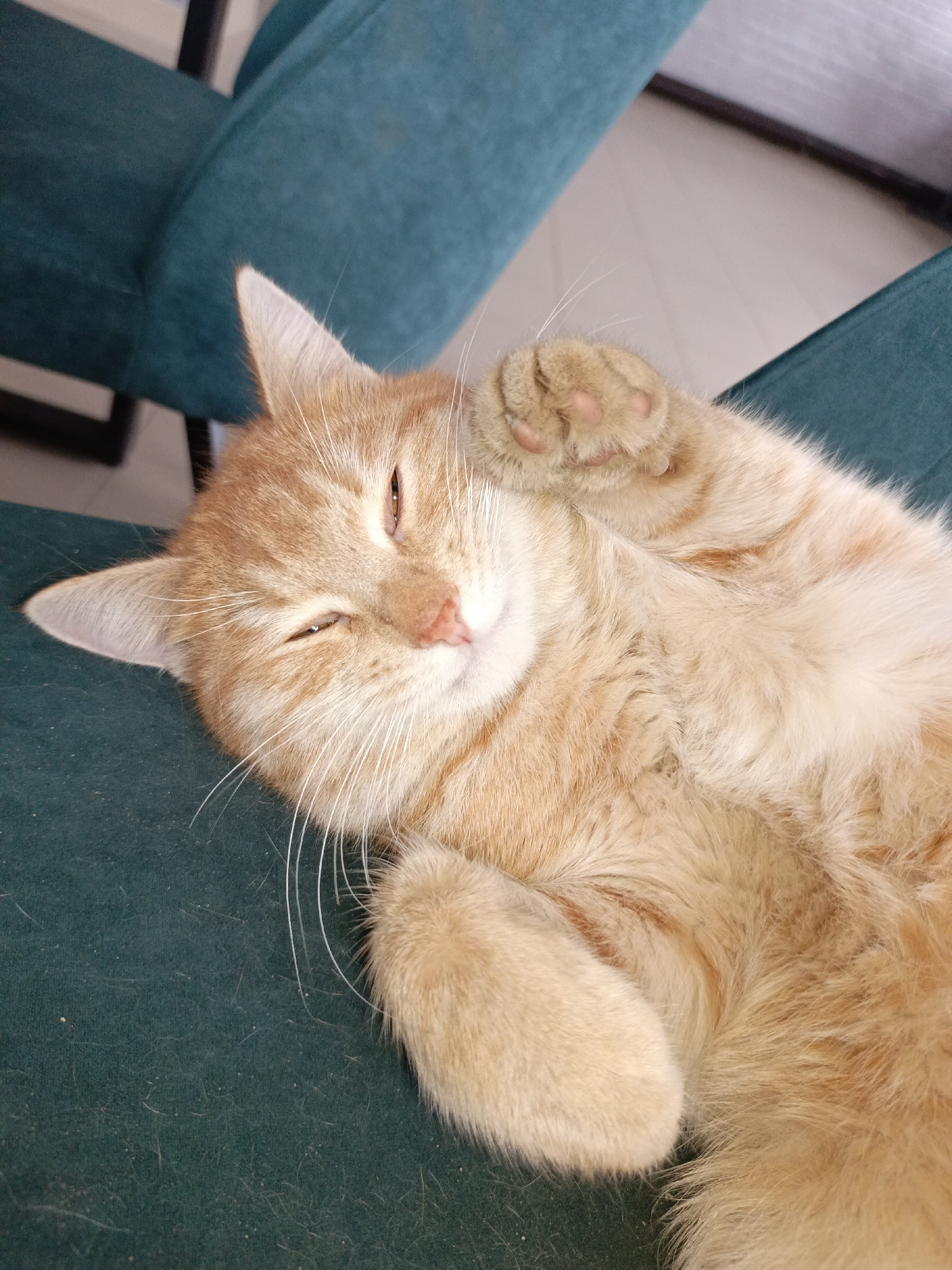 An orange tabby cat is lying on its back on a green surface. The cat's eyes are partially closed as if it is sleeping or relaxed. Its front paw is raised near its head, exposing the pink paw pads. The background includes blurred teal upholstery from what appears to be chairs. The location is not specified in the image.