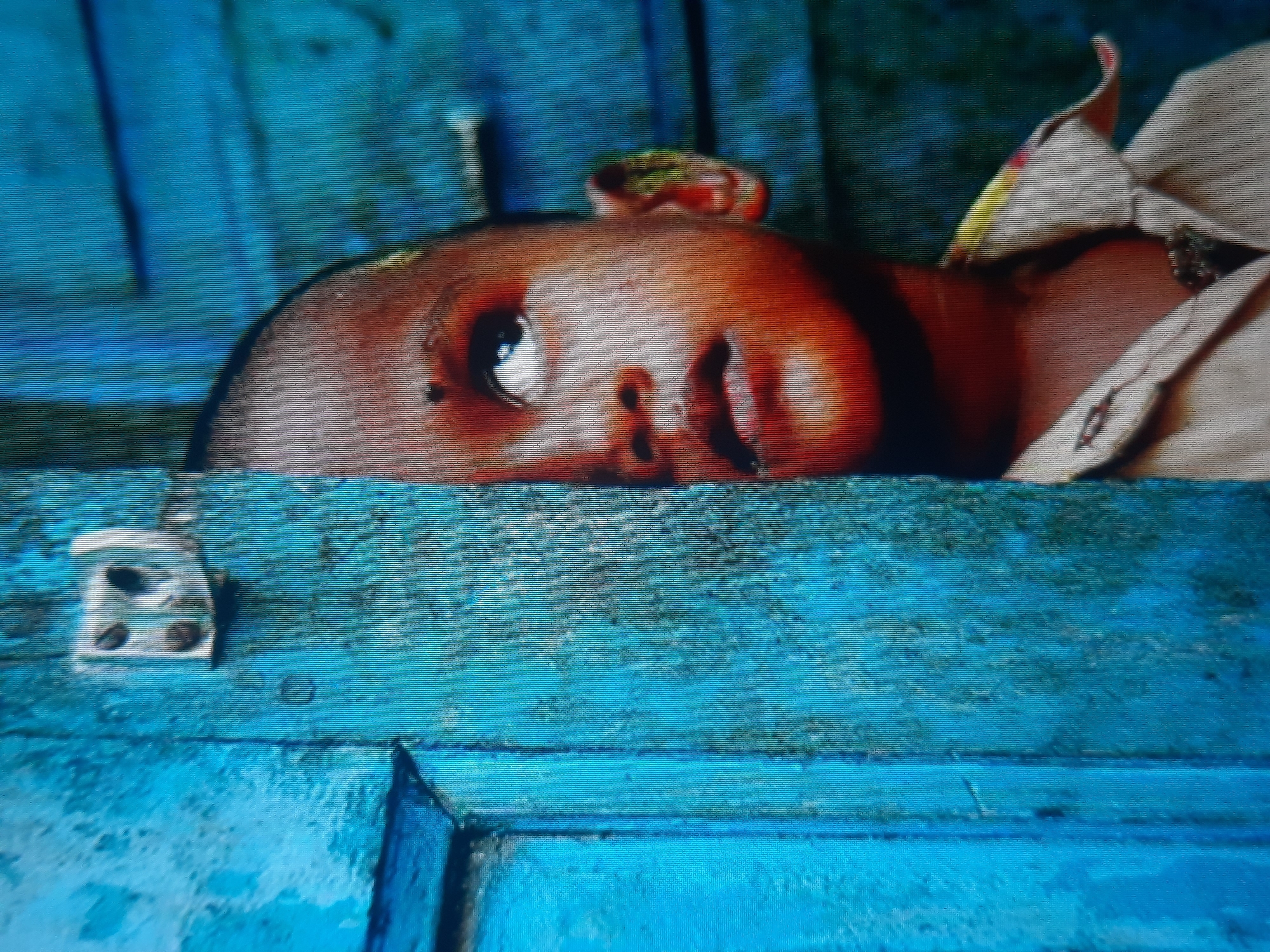 A child's face is partially obscured by a weathered, bright blue door. The child, facing right, has dark skin, a small dot between their eyebrows, and their eyes are looking upwards. Their mouth is slightly open. They are wearing a light-colored collared shirt with some yellow and red trim visible at the collar. The door on the left is textured and shows signs of age and use, with a metal latch mechanism visible near the top. The background is a uniform, textured blue. There are no discernible features indicating a specific location within the city of Rosenheim, Germany.