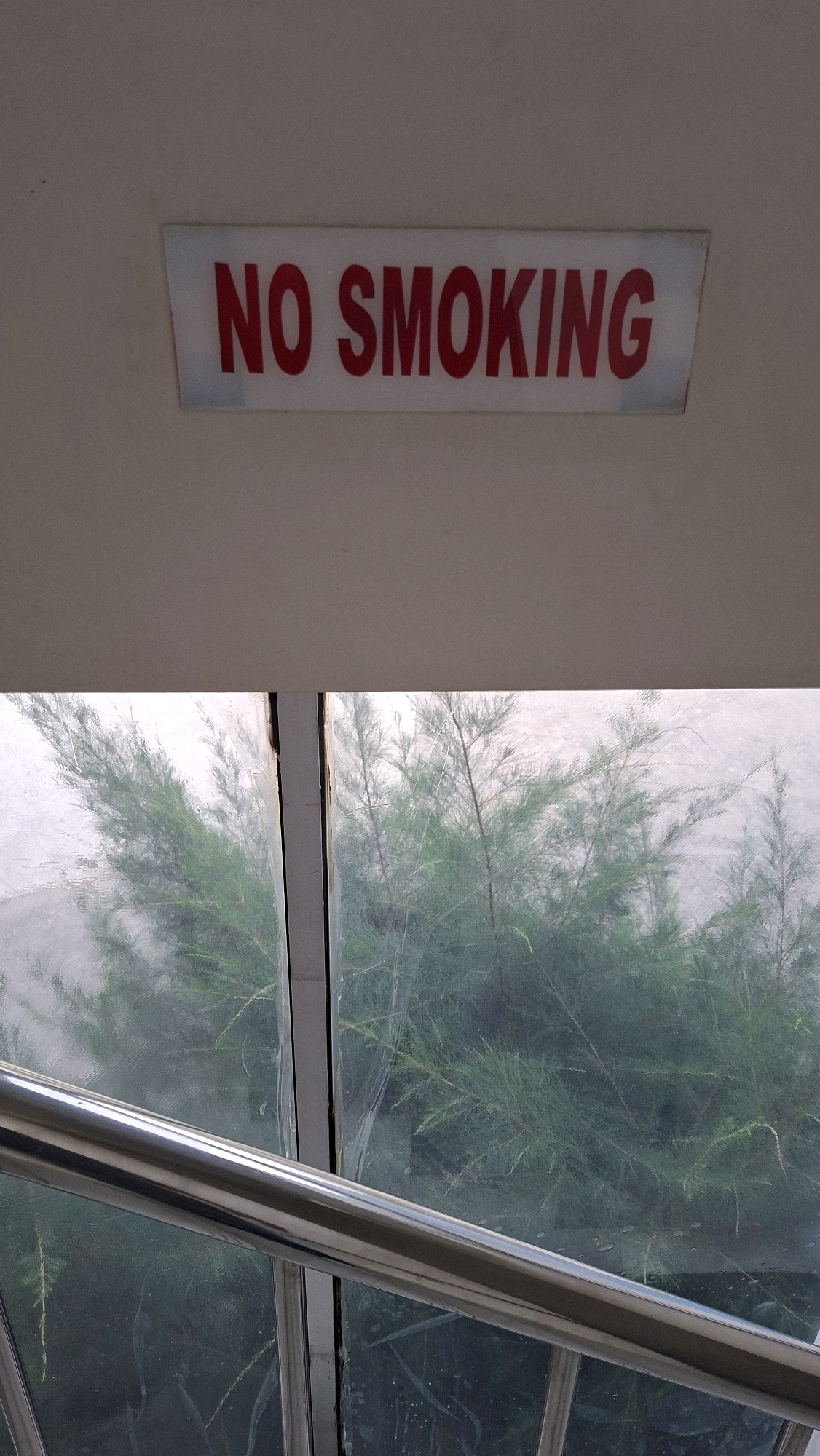 The image shows a "NO SMOKING" sign in red lettering on a white rectangular background. The sign is affixed to a light-colored wall. Below the sign, a large window reveals dense green foliage, likely trees or bushes, with thin branches and needle-like leaves. A metal handrail, possibly part of a staircase or balcony, is visible in the foreground, reflecting light. The scene suggests an interior location with a view of an outdoor or semi-outdoor green space. The specific location in Palembang, Indonesia cannot be determined from the image alone.