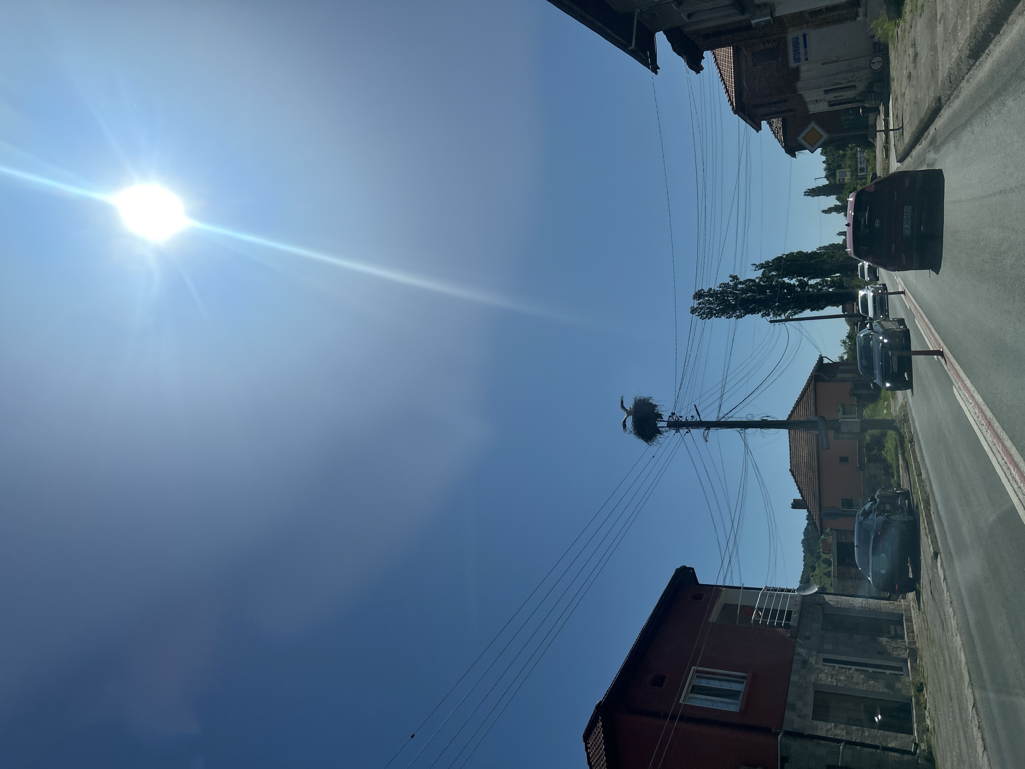 The image shows a street scene in Balgarski Izvor, Bulgaria, under a clear blue sky with the sun shining brightly. The scene is captured at an angle. A stork's nest is perched atop a utility pole, and a stork is visible in the nest. Power lines run from the pole to buildings on either side of the street. Several cars are parked along the side of the road. Buildings line the street on both sides. The road stretches into the distance, with additional buildings and trees visible. A road sign is also present.