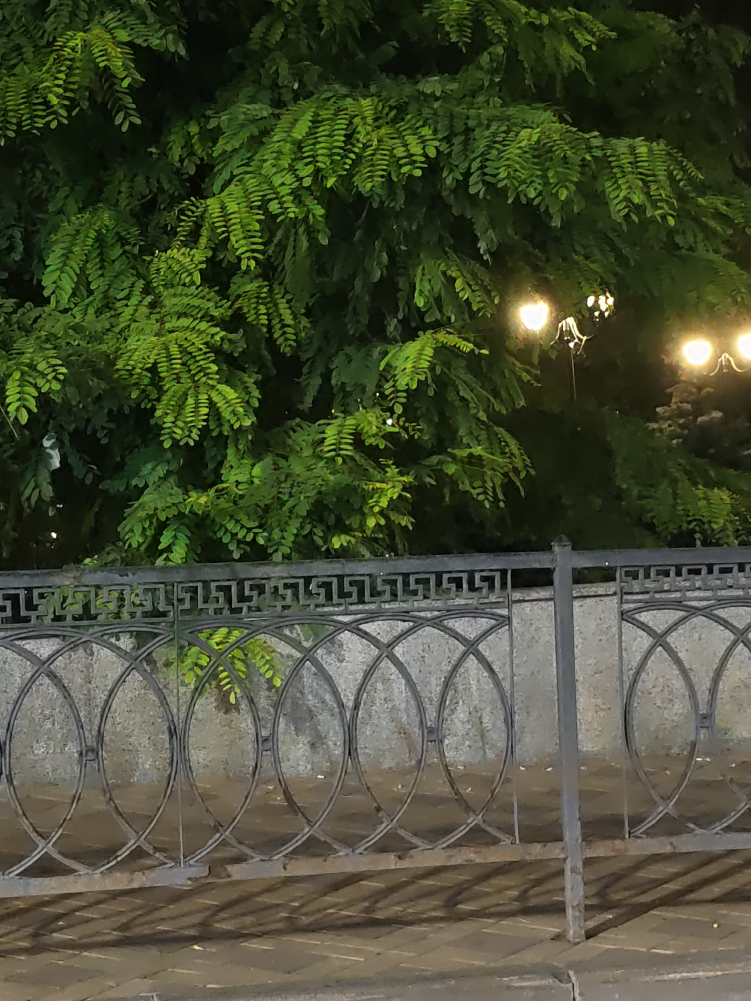The image depicts a nighttime scene with a focus on dense green foliage in the upper half and a decorative metal fence in the lower half. Several illuminated lamps are visible through the leaves, casting a warm glow. The fence is made of dark metal and features a repeating pattern of Greek key motifs along its top, followed by a section with large, overlapping oval shapes. Behind the fence, a stone wall is partially visible, and the ground in front of the fence appears to be paved with stone or brick, showing distinct shadows cast by the fence and possibly other unseen objects. The overall impression is an outdoor setting, possibly a park or street, with streetlights and vegetation. There are no people or animals visible in the image.